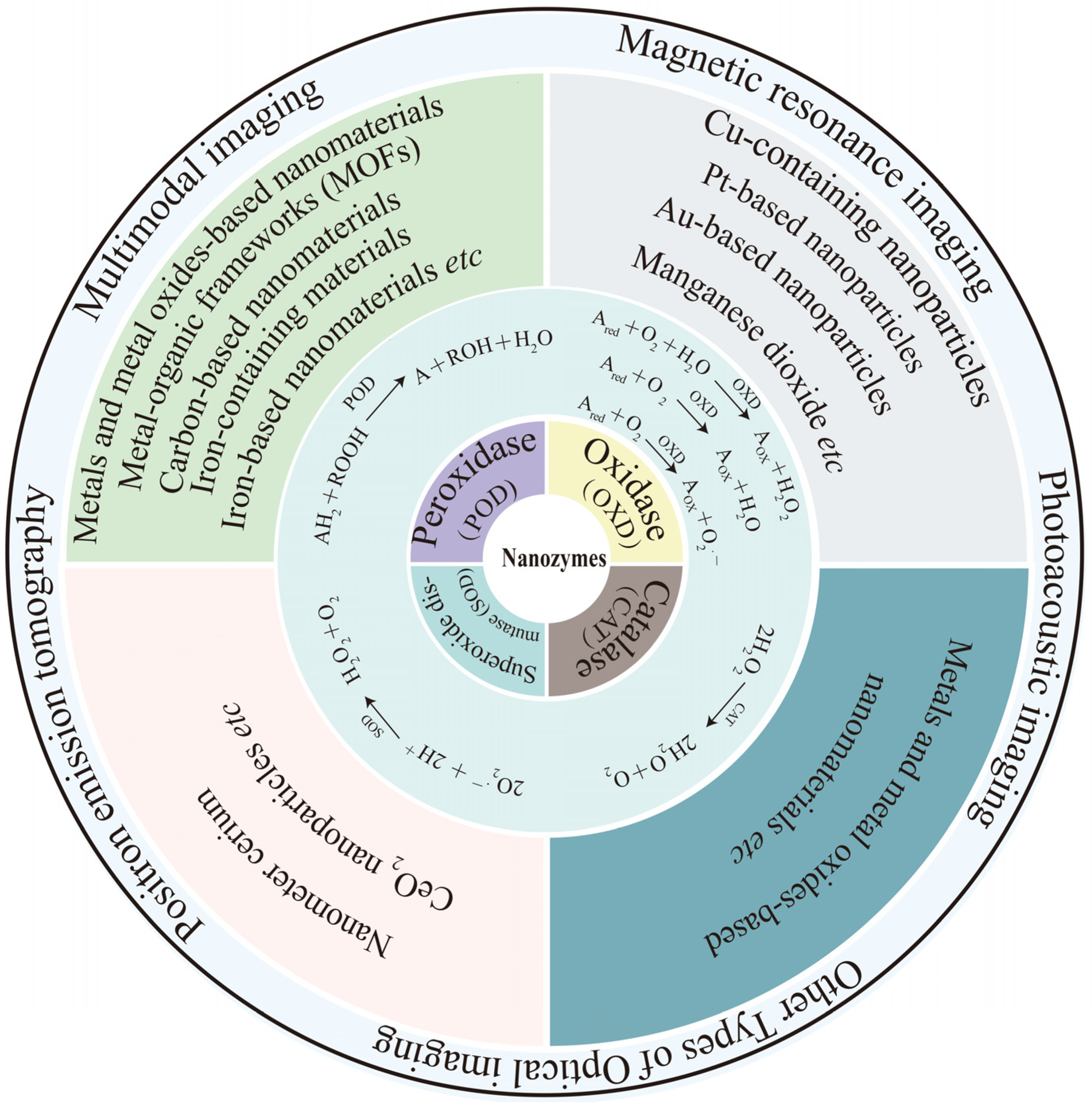 Pharmaceuticals 16 00249 sch001 Pharmaceuticals 16 00249 sch001