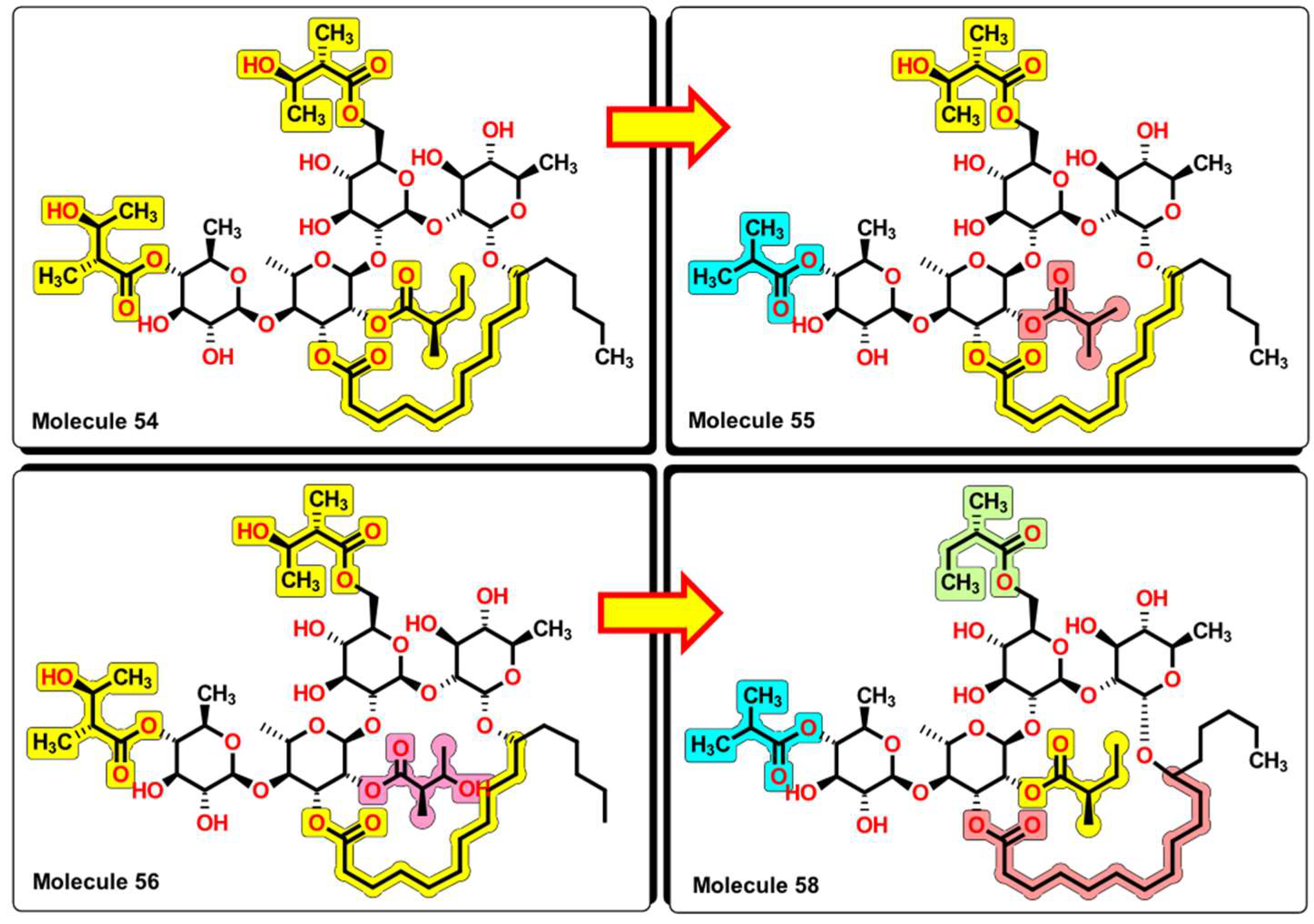 Pharmaceuticals 16 00250 g016