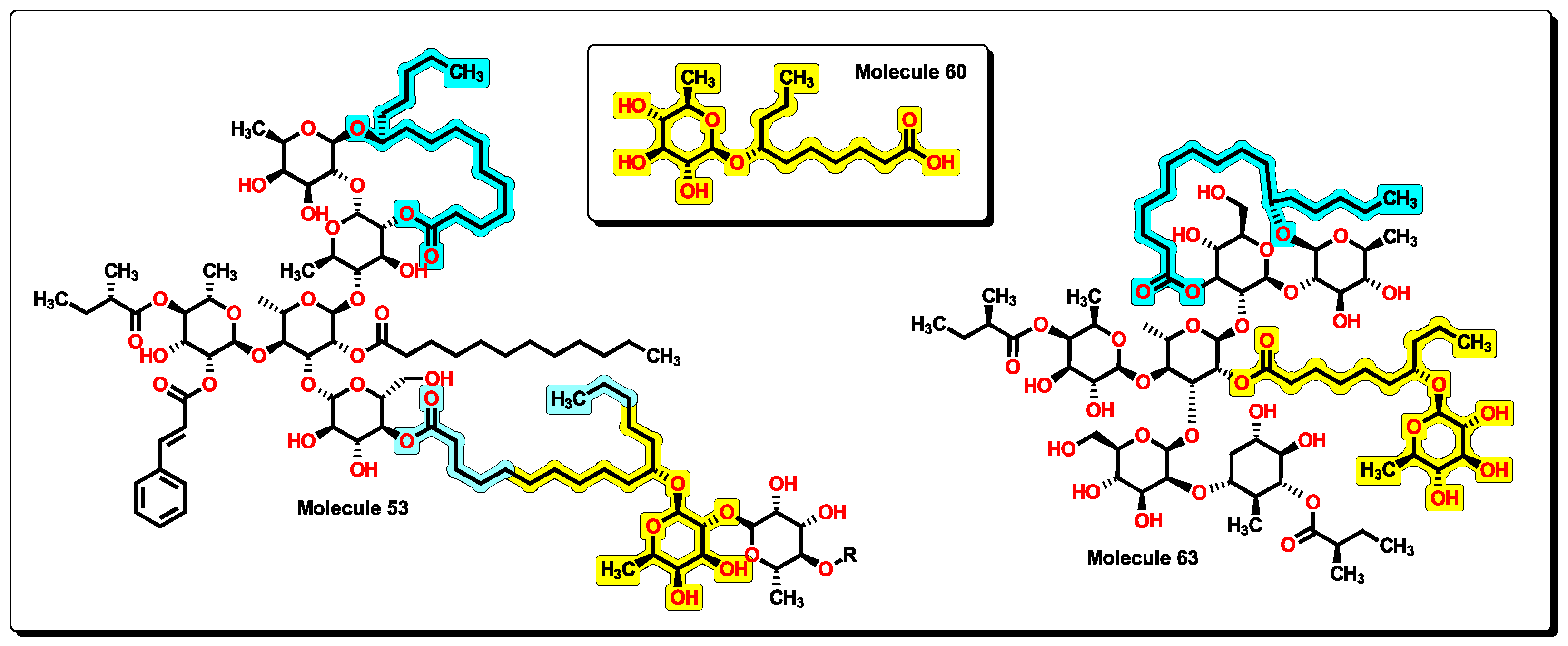 Pharmaceuticals 16 00250 g017