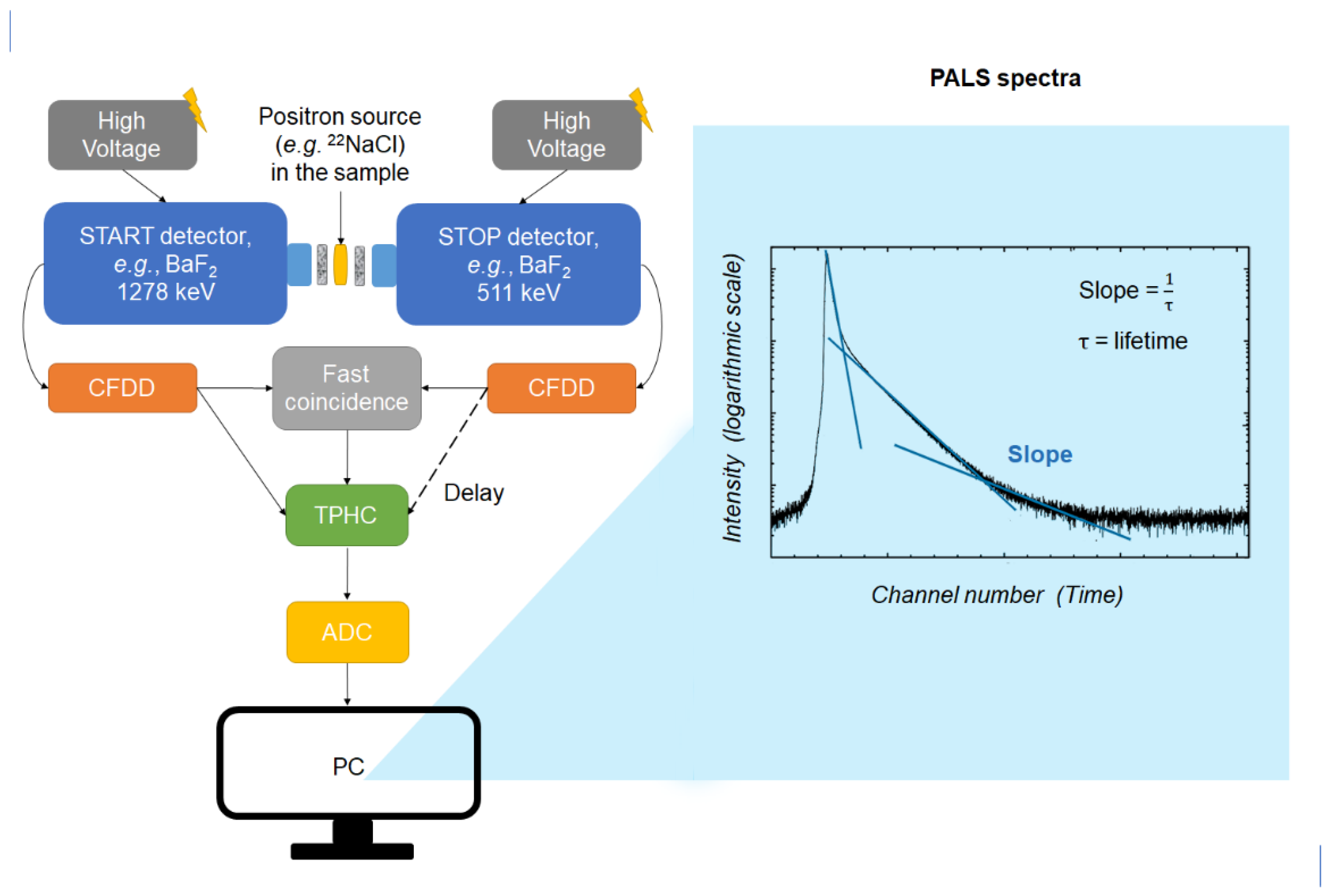 Pharmaceuticals 16 00252 g001 Pharmaceuticals 16 00252 g001