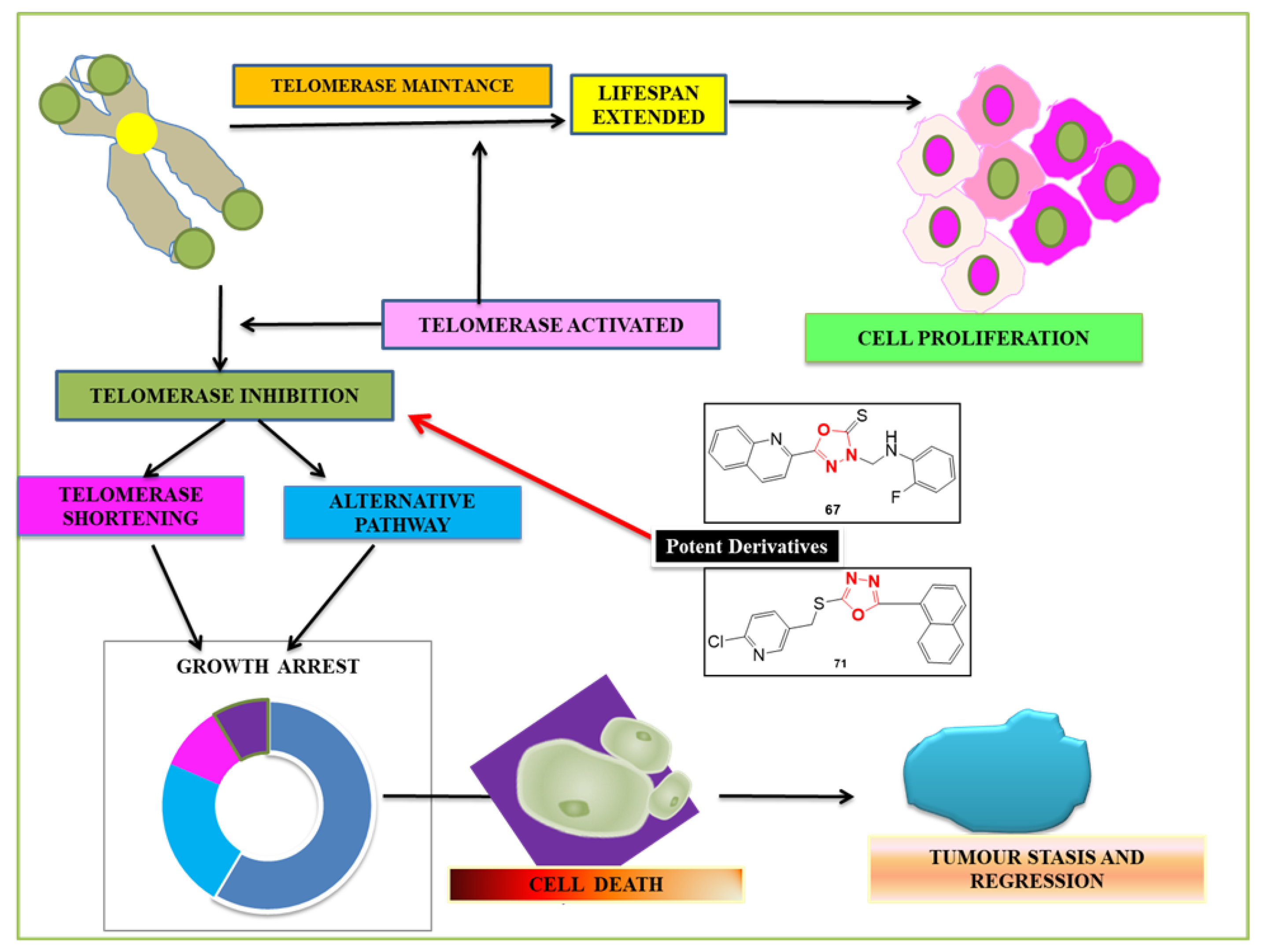 Pharmaceuticals 16 00254 g009