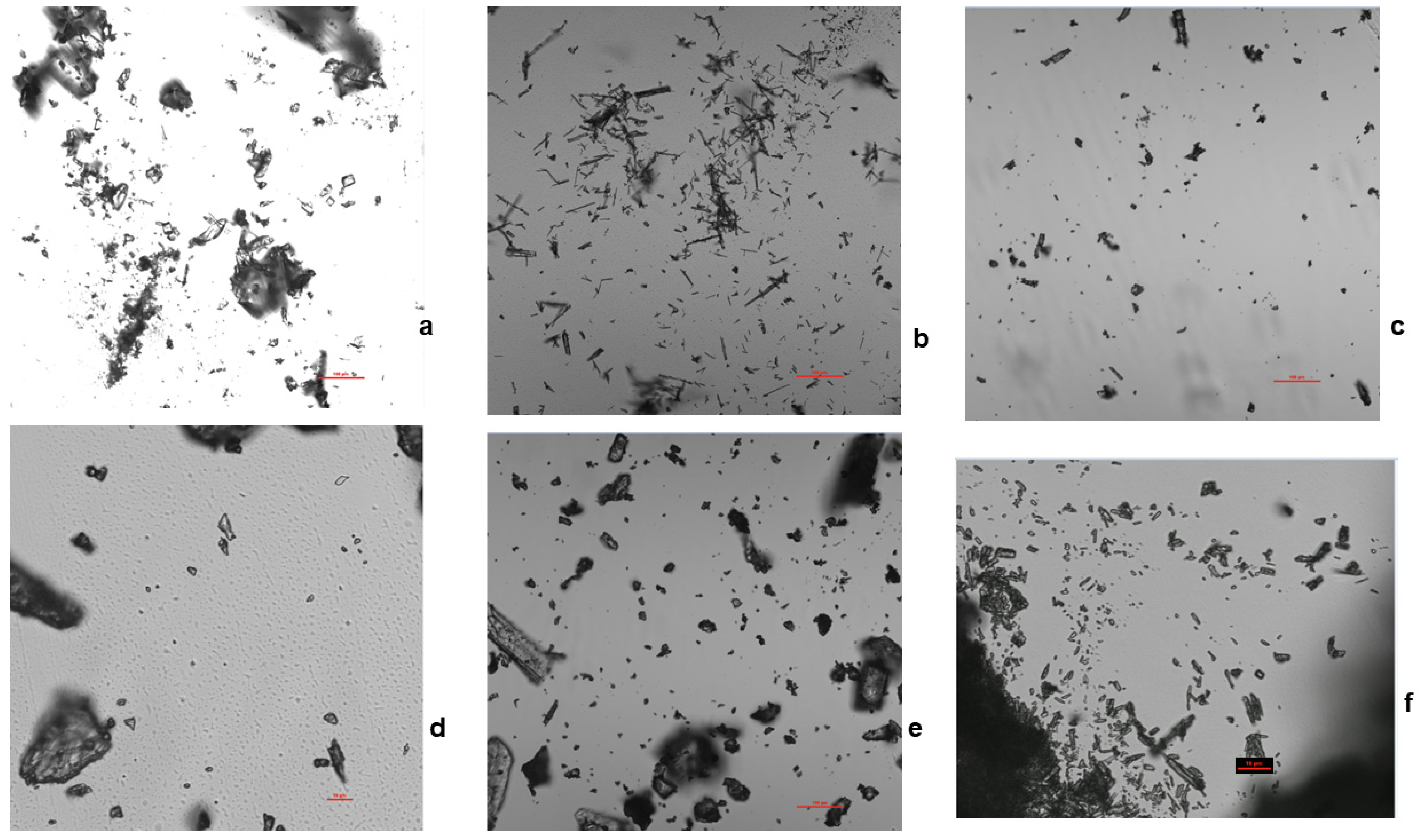 Pharmaceuticals 16 00257 g006 Pharmaceuticals 16 00257 g006