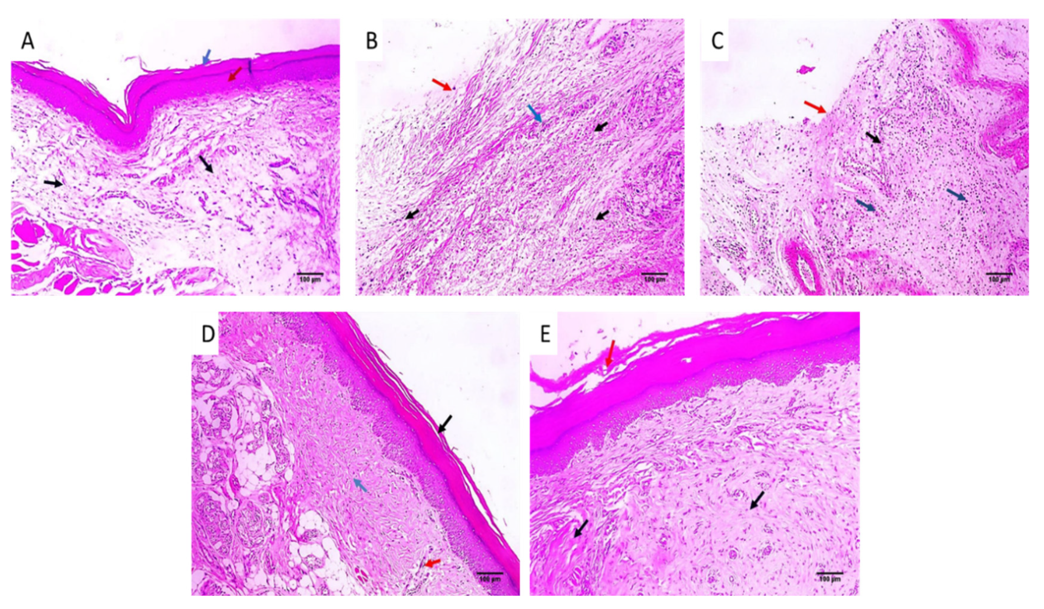 Pharmaceuticals 16 00258 g007