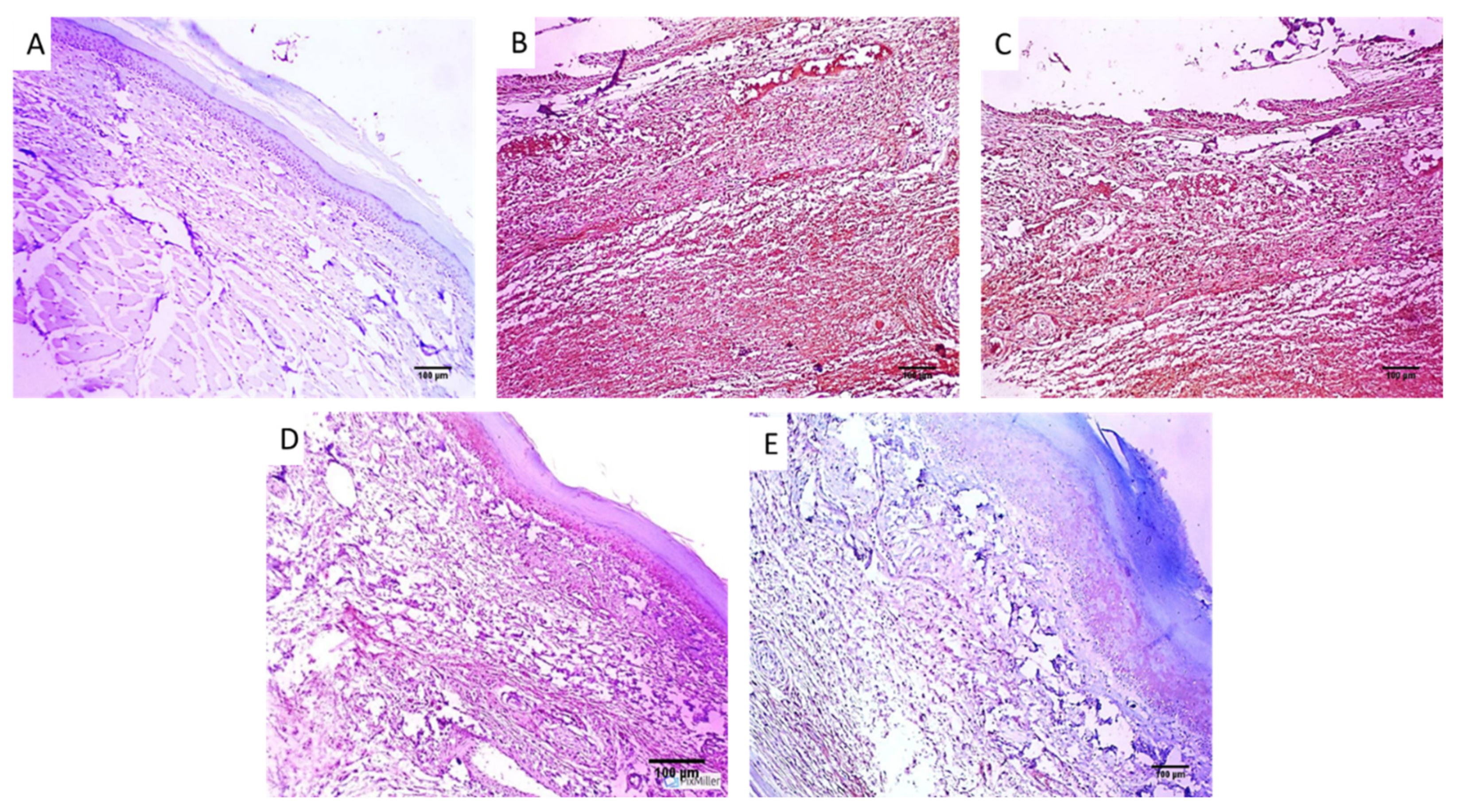 Pharmaceuticals 16 00258 g009