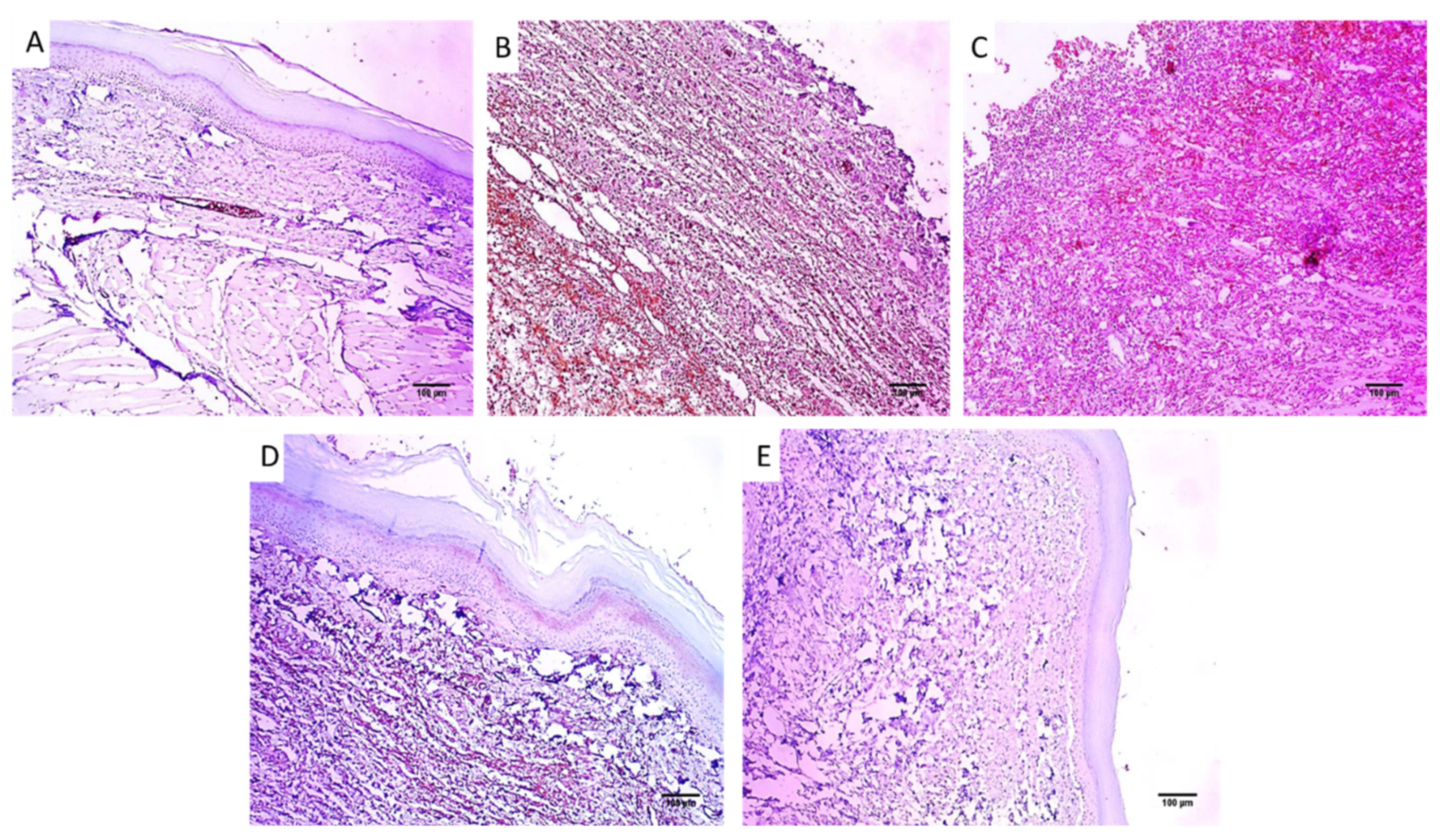 Pharmaceuticals 16 00258 g010