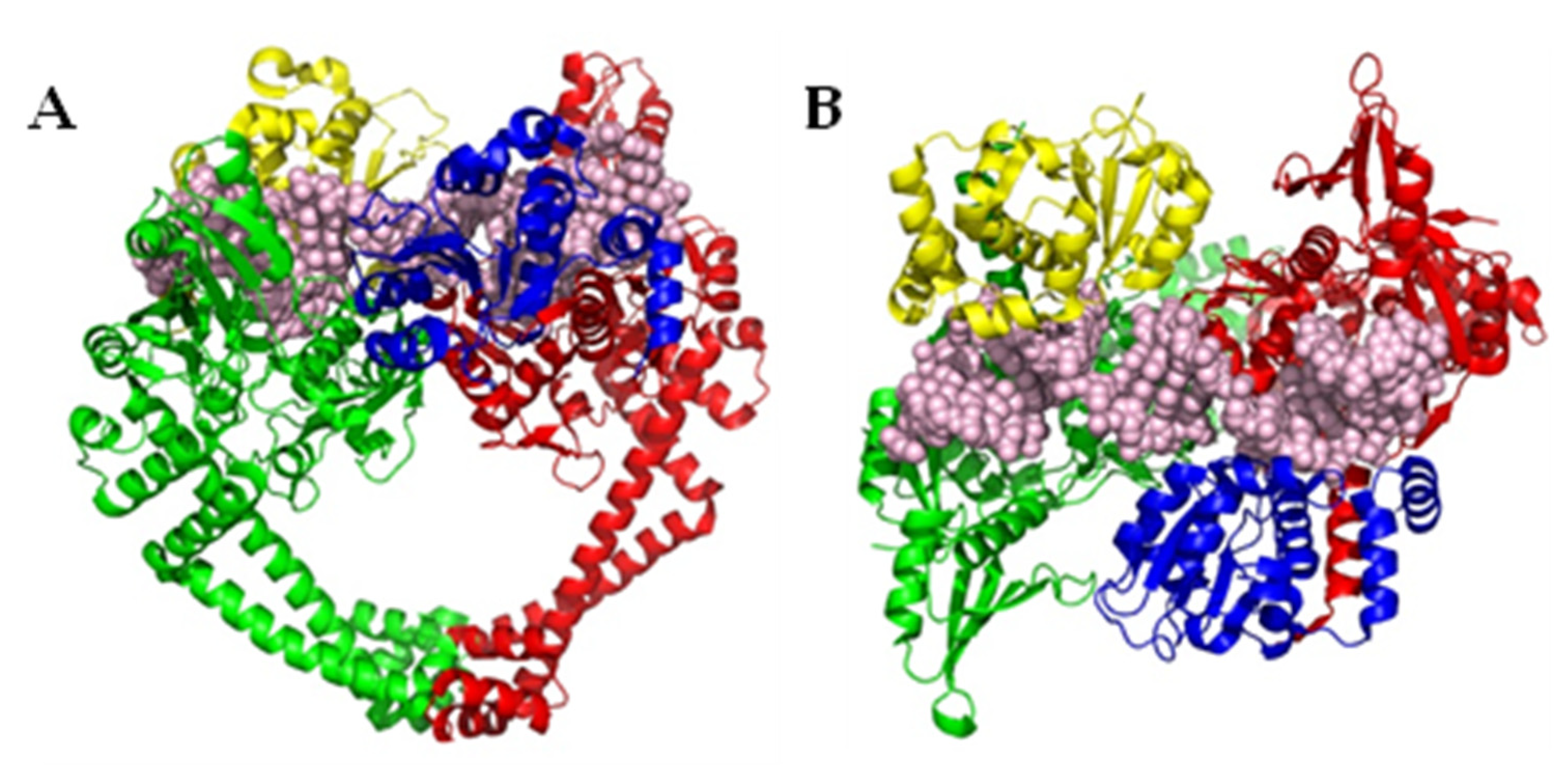 Pharmaceuticals 16 00261 g001