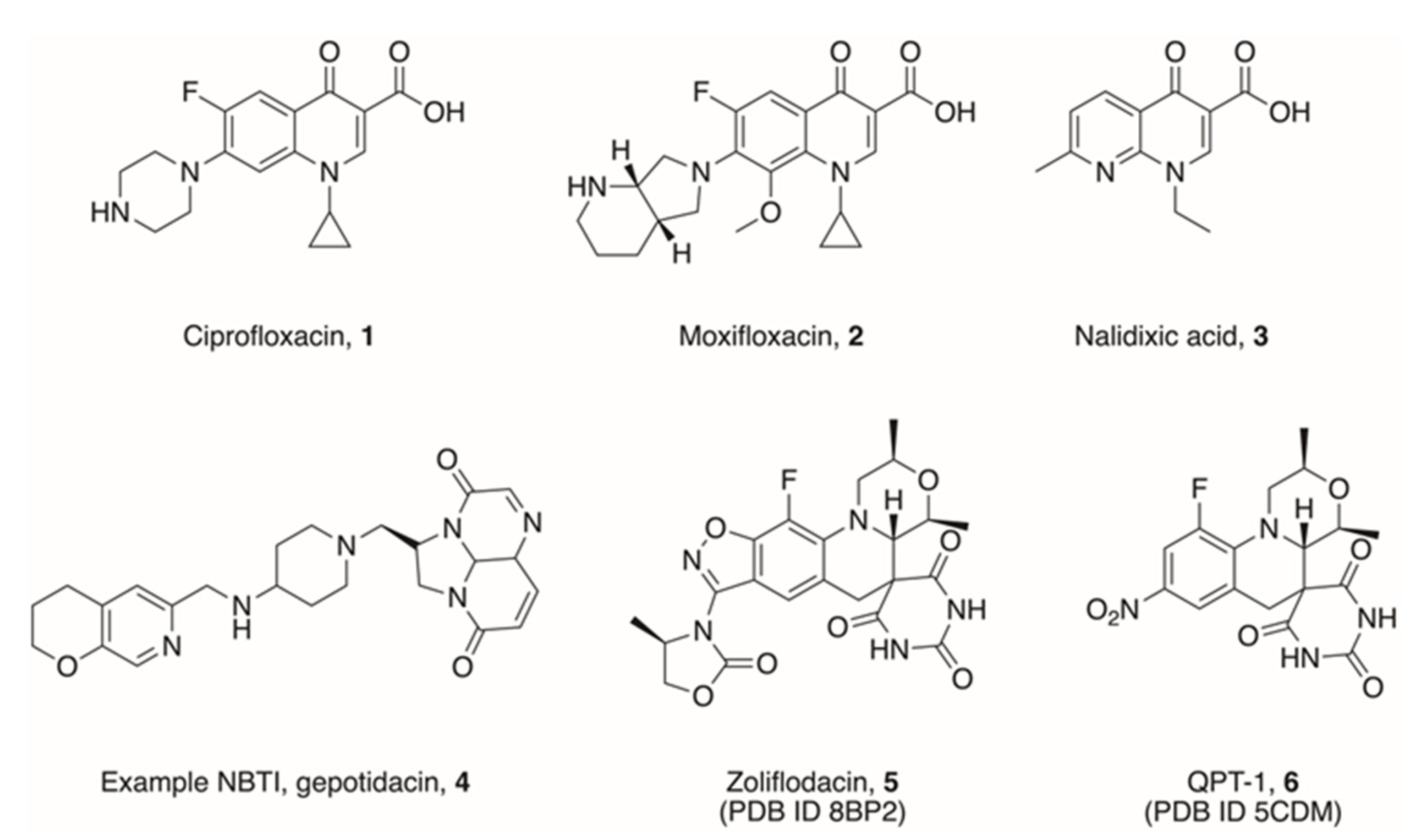 Pharmaceuticals 16 00261 g003