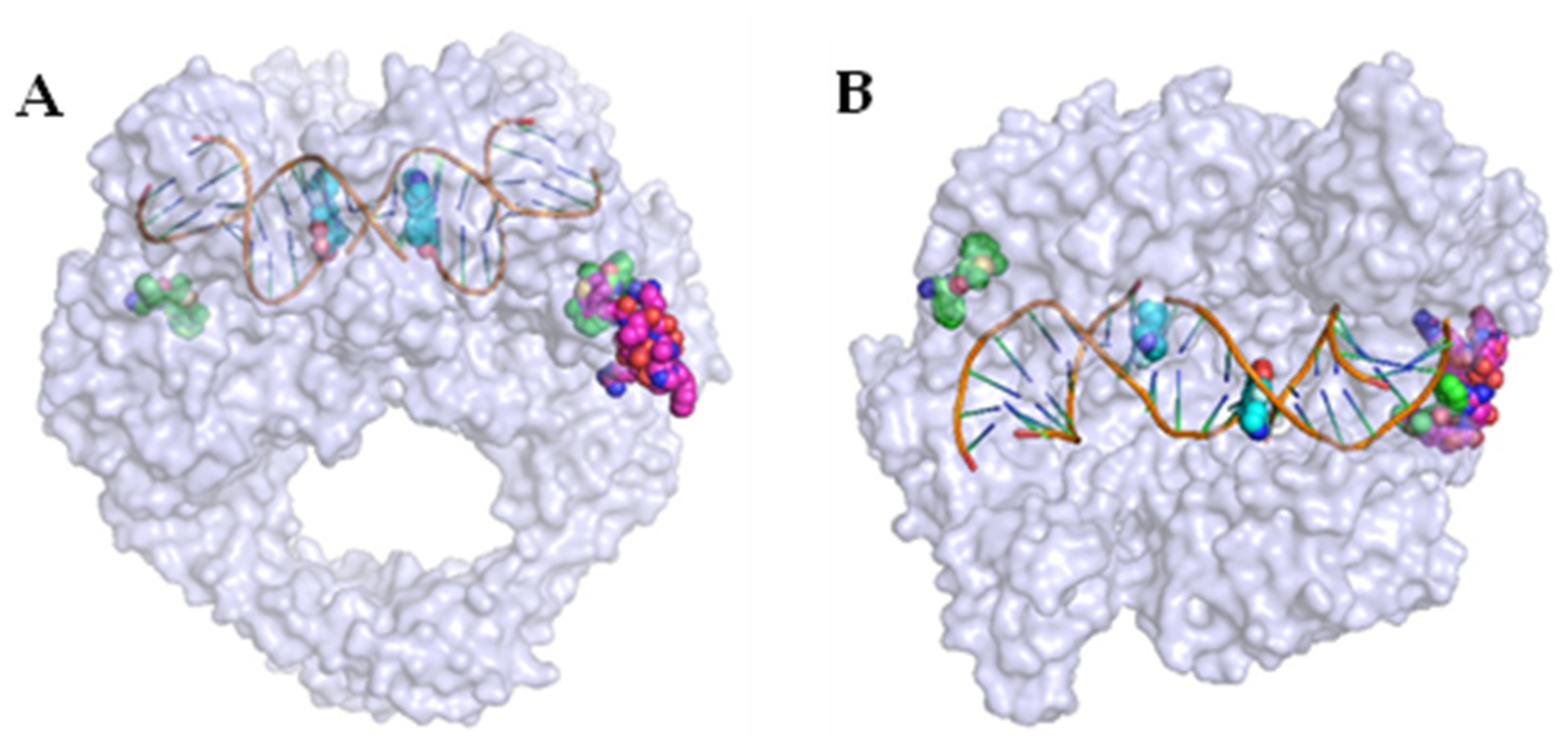Pharmaceuticals 16 00261 g004