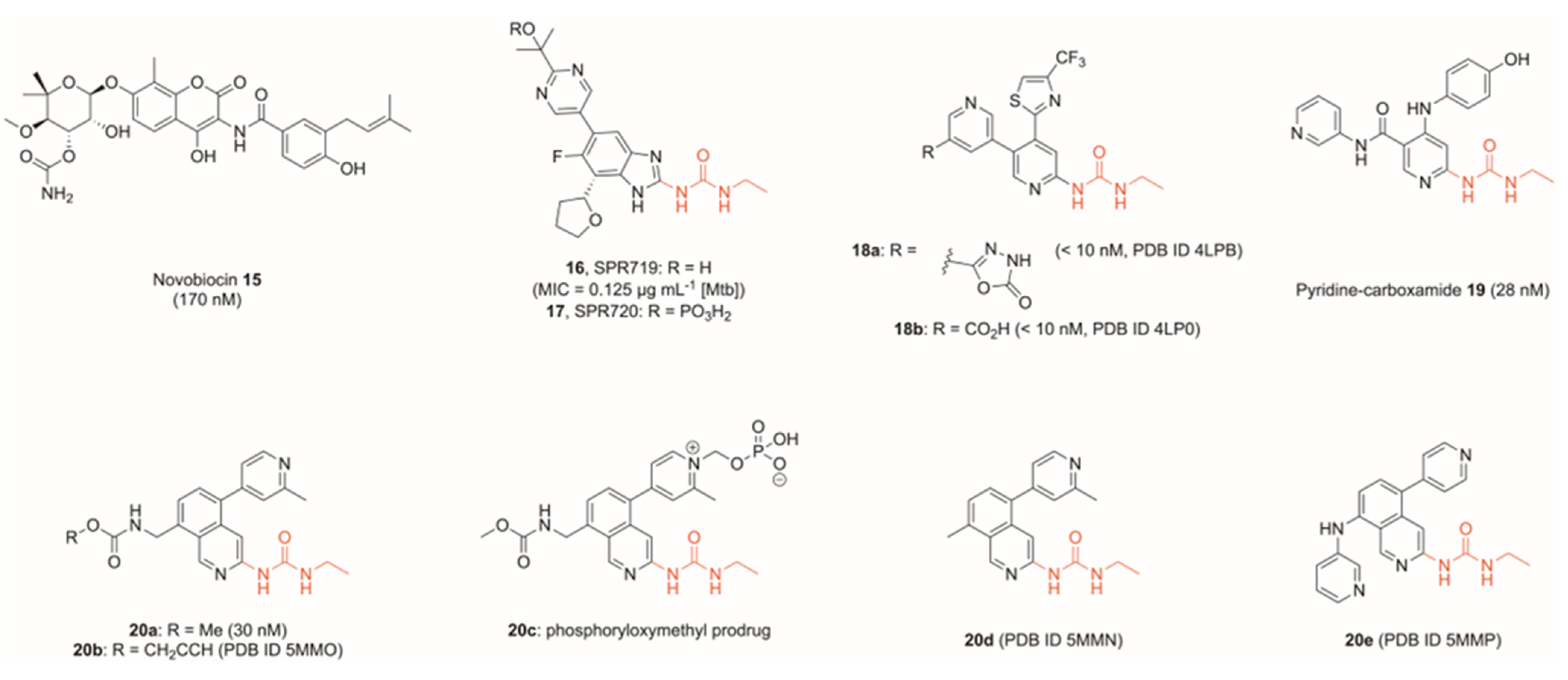 Pharmaceuticals 16 00261 g006