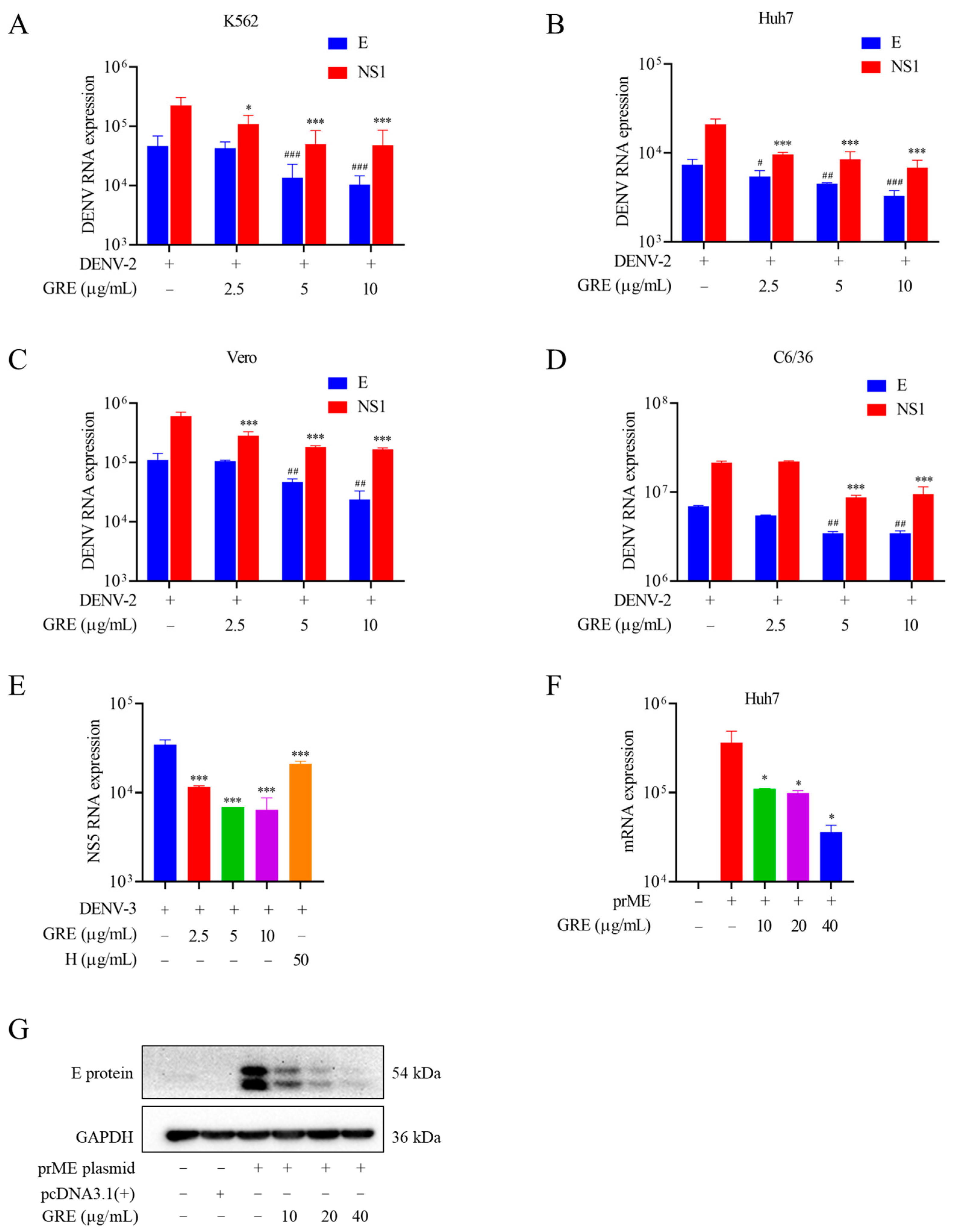 Pharmaceuticals 16 00263 g005