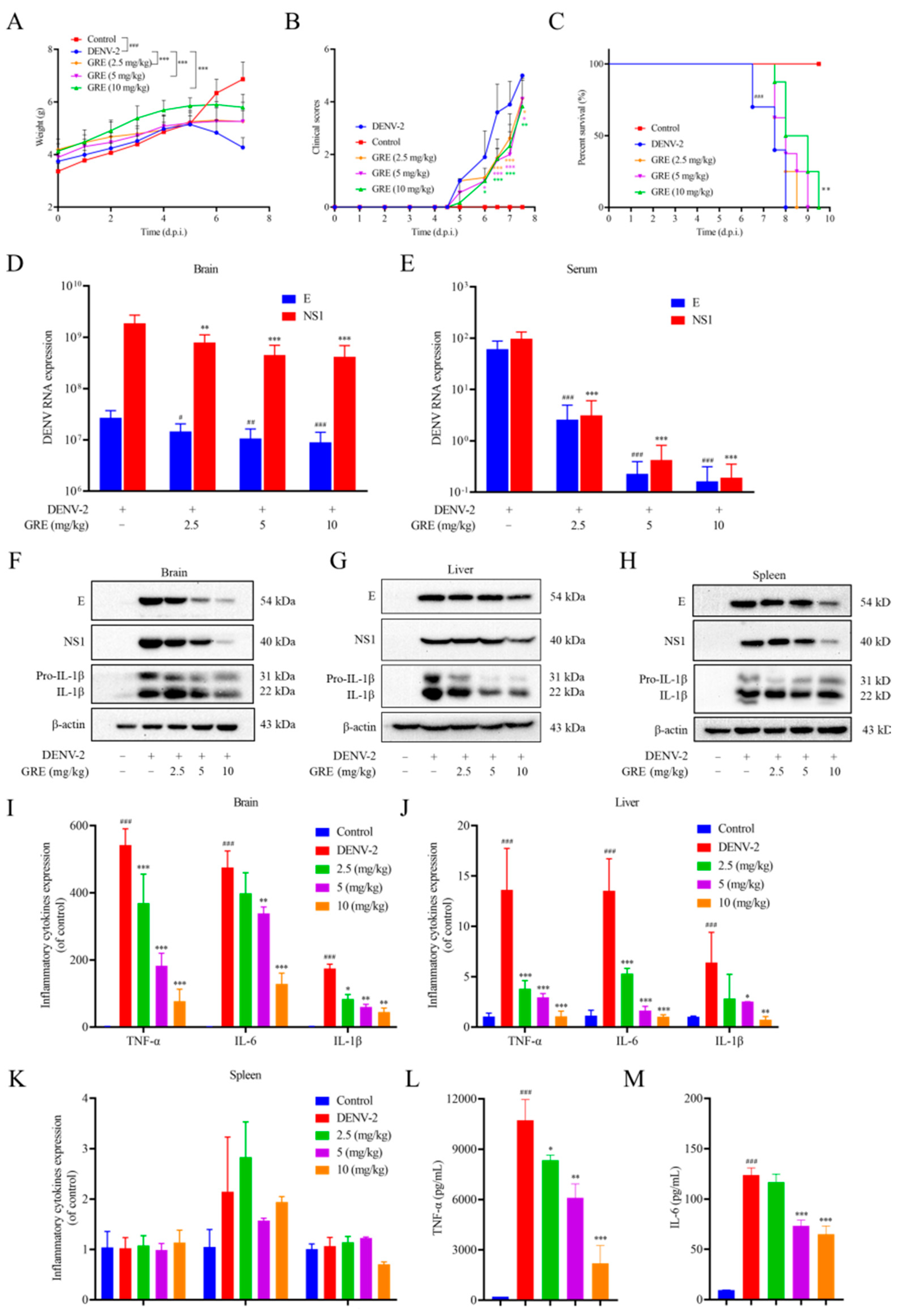 Pharmaceuticals 16 00263 g006