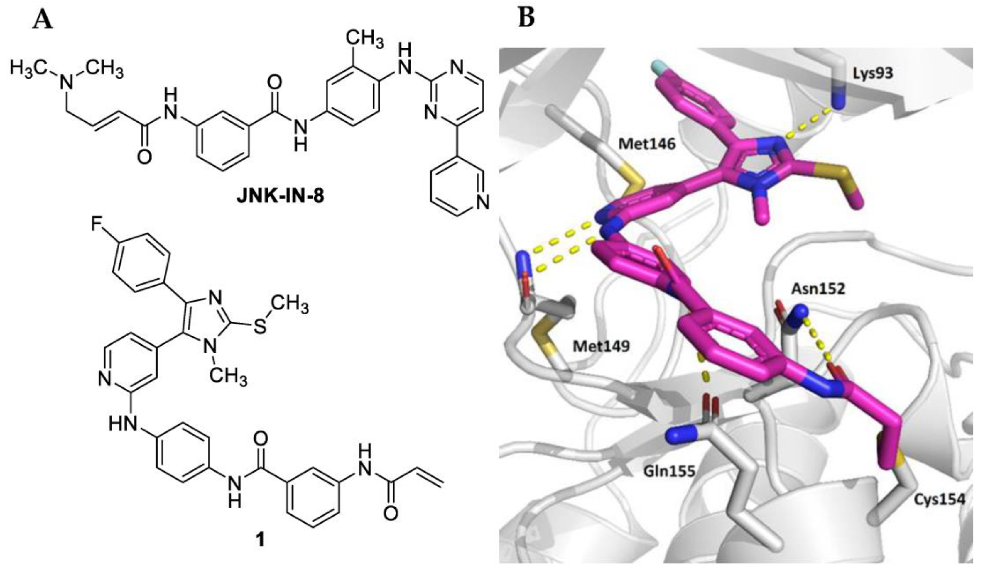 Pharmaceuticals 16 00264 g001 Pharmaceuticals 16 00264 g001