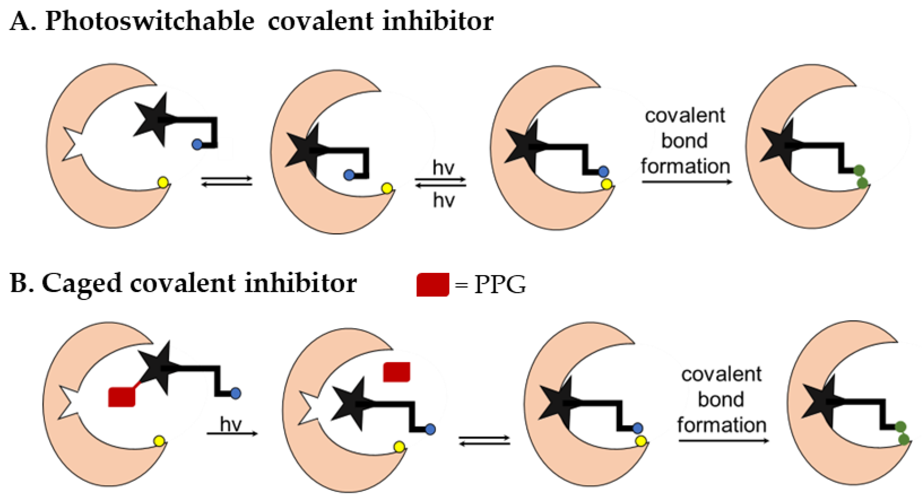 Pharmaceuticals 16 00264 g002 Pharmaceuticals 16 00264 g002