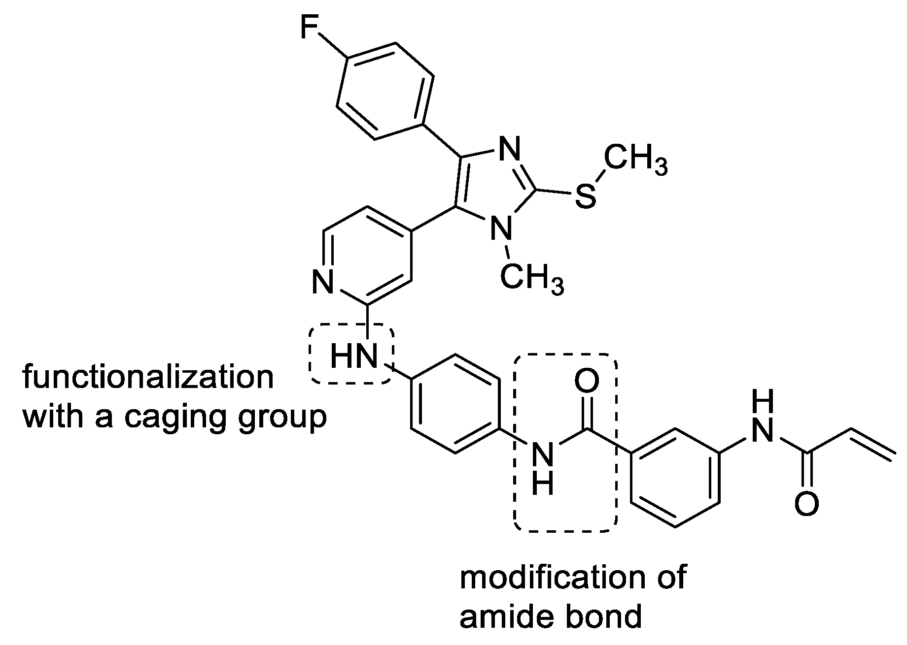Pharmaceuticals 16 00264 g004 Pharmaceuticals 16 00264 g004