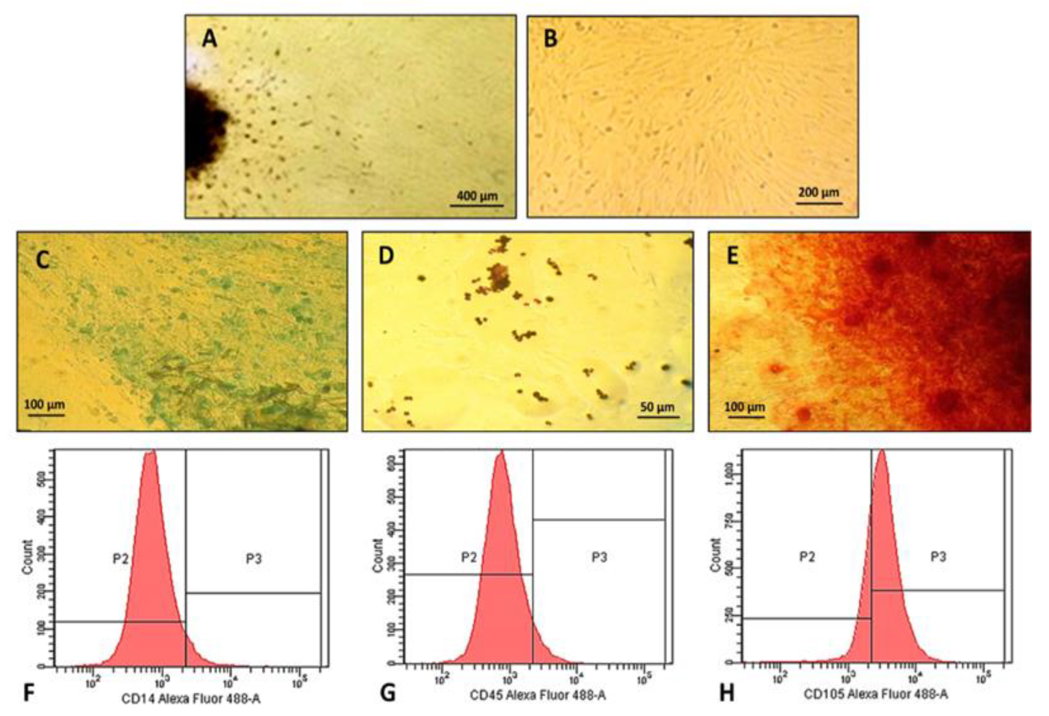 Pharmaceuticals 16 00266 g004 Pharmaceuticals 16 00266 g004