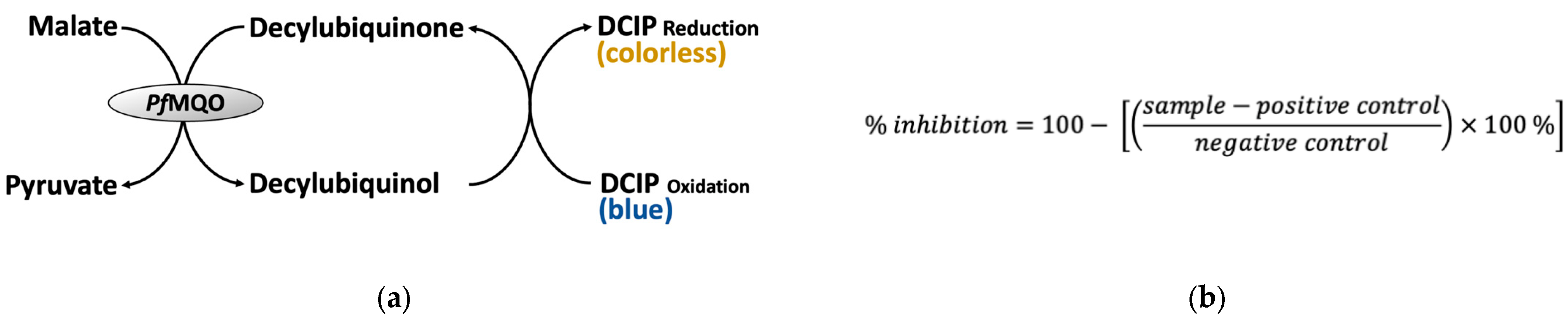 Pharmaceuticals 16 00268 g001 550