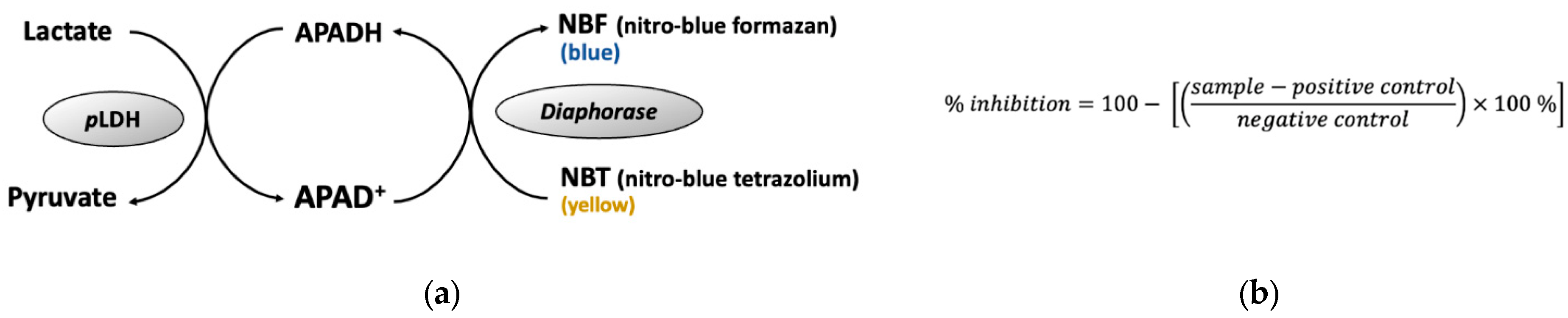 Pharmaceuticals 16 00268 g012 550