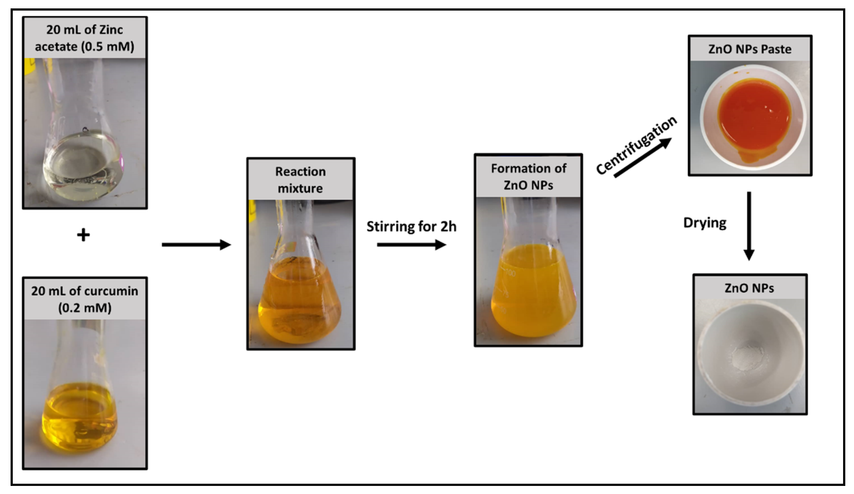 Pharmaceuticals 16 00269 g001 Pharmaceuticals 16 00269 g001