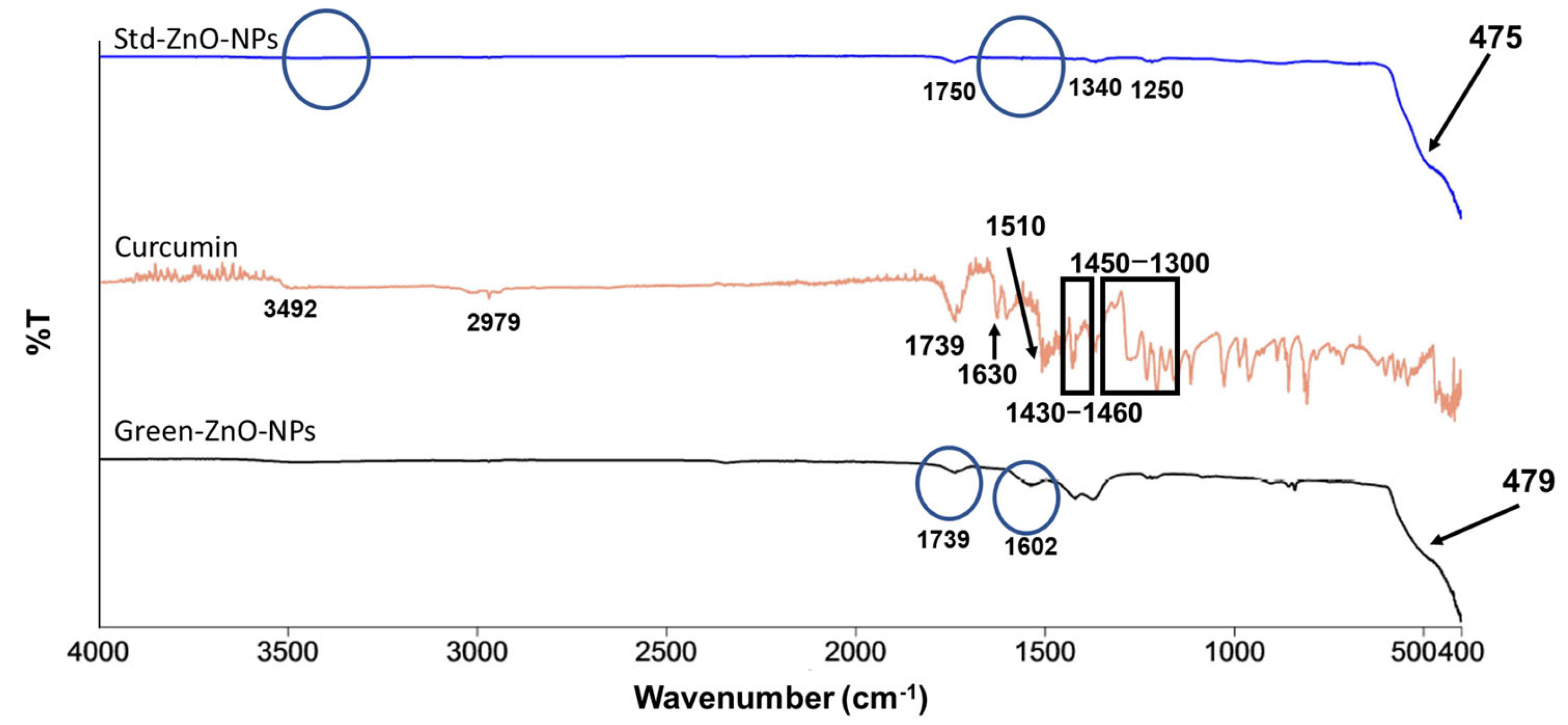 Pharmaceuticals 16 00269 g003 Pharmaceuticals 16 00269 g003
