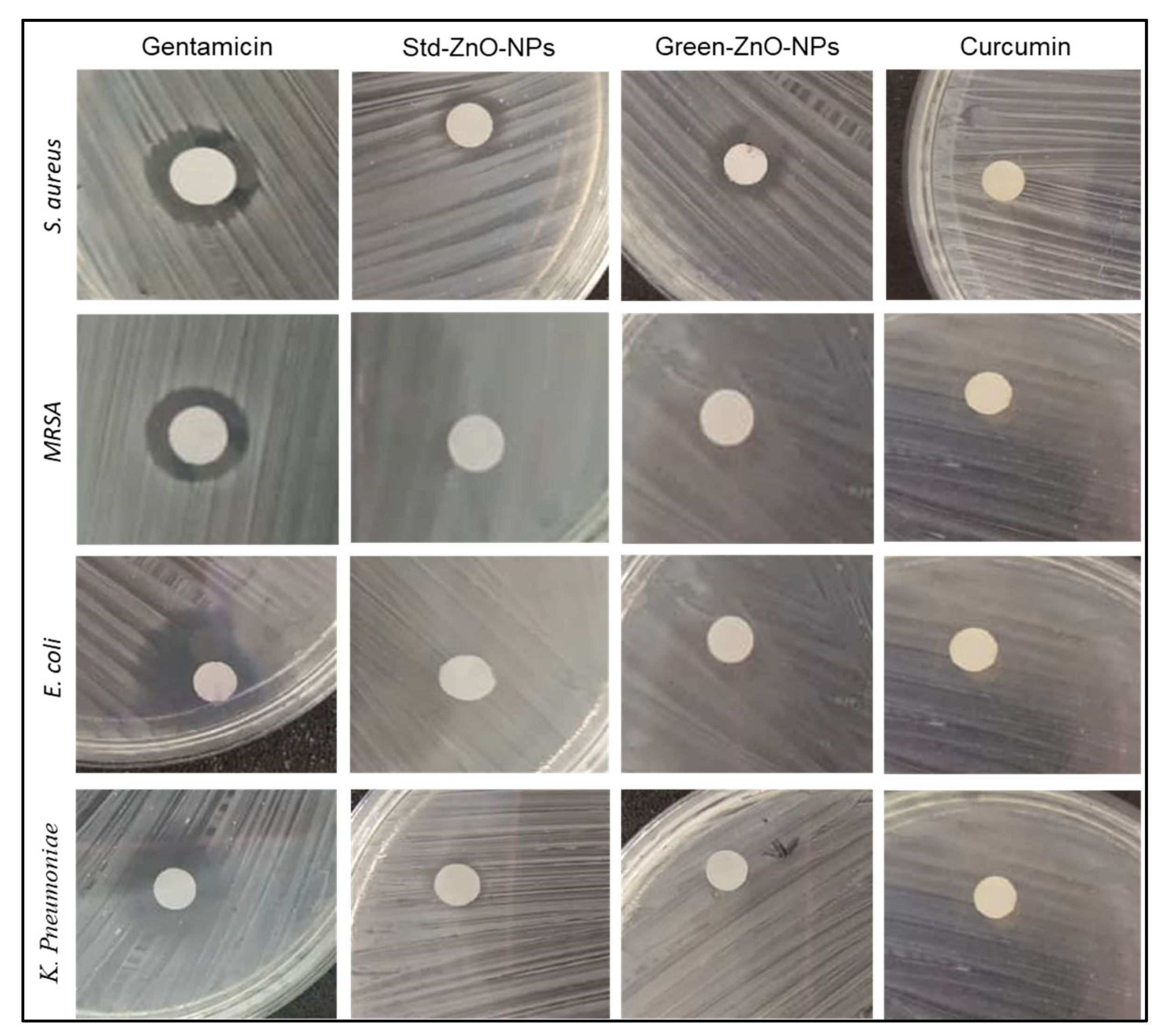 Pharmaceuticals 16 00269 g008 Pharmaceuticals 16 00269 g008