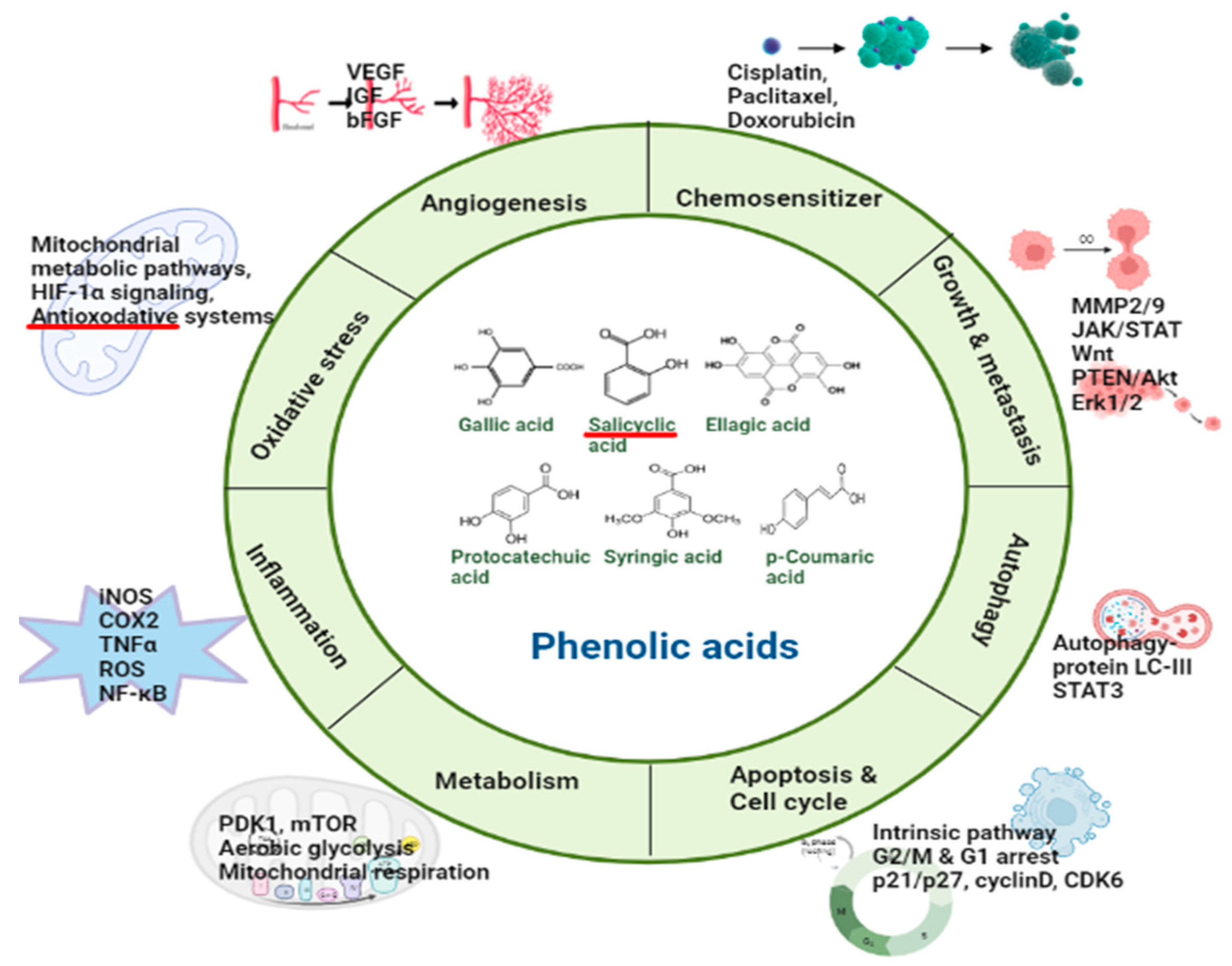 Pharmaceuticals 16 00274 g002 Pharmaceuticals 16 00274 g002