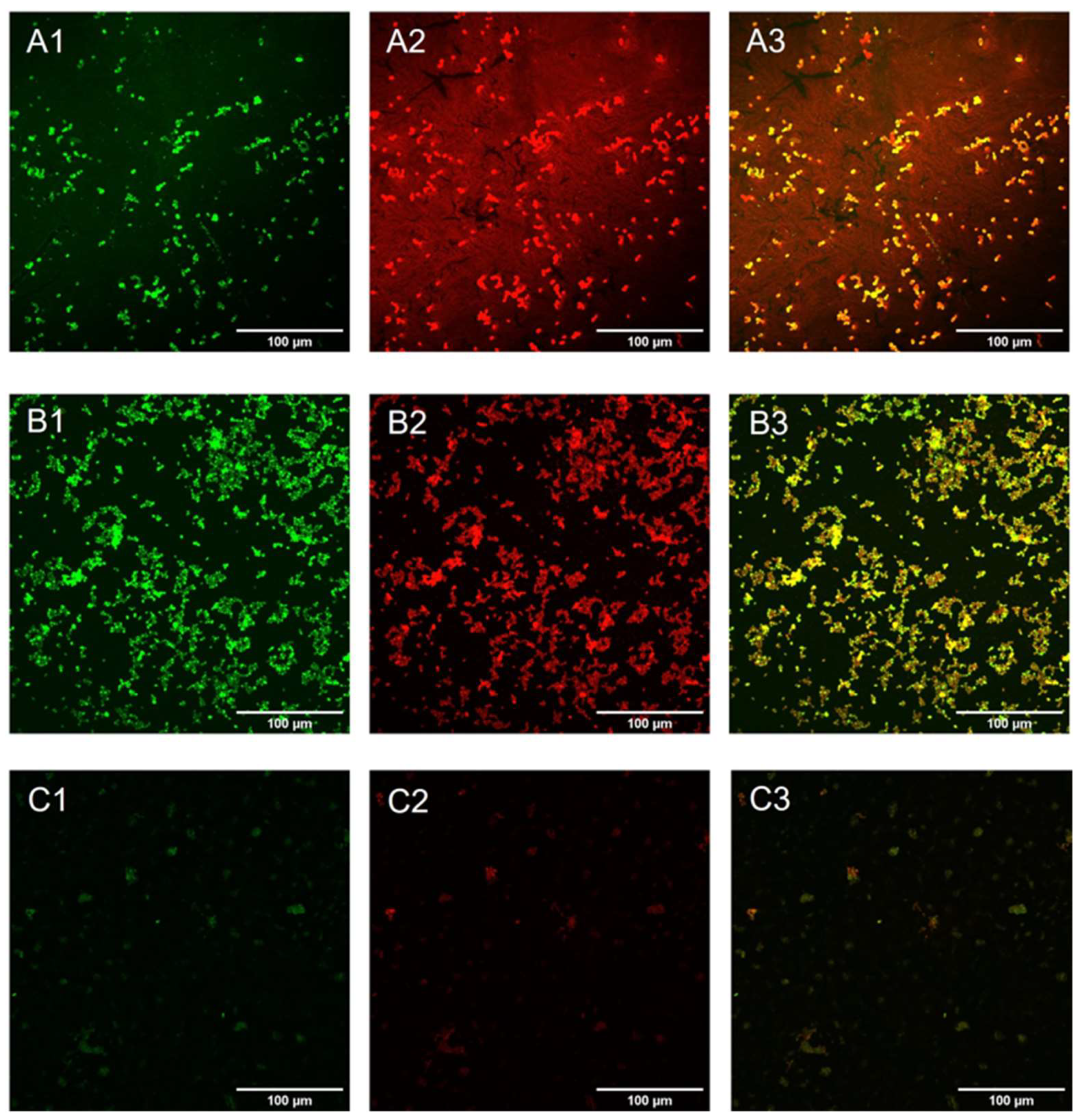 Pharmaceuticals 16 00275 g009 Pharmaceuticals 16 00275 g009