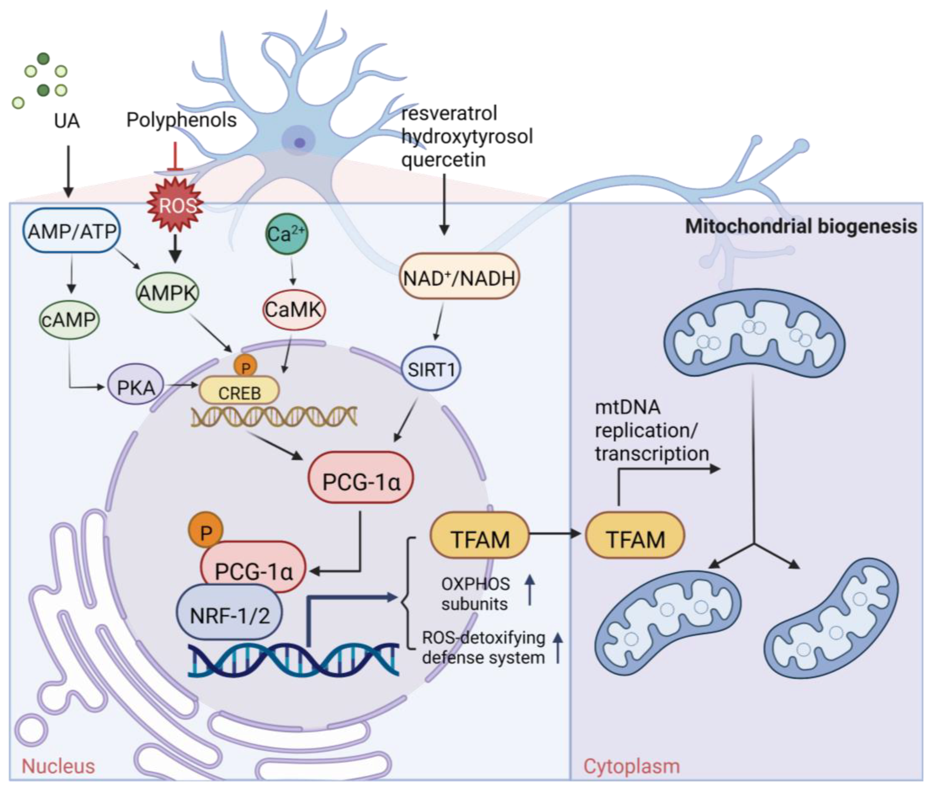 Pharmaceuticals 16 00277 g001