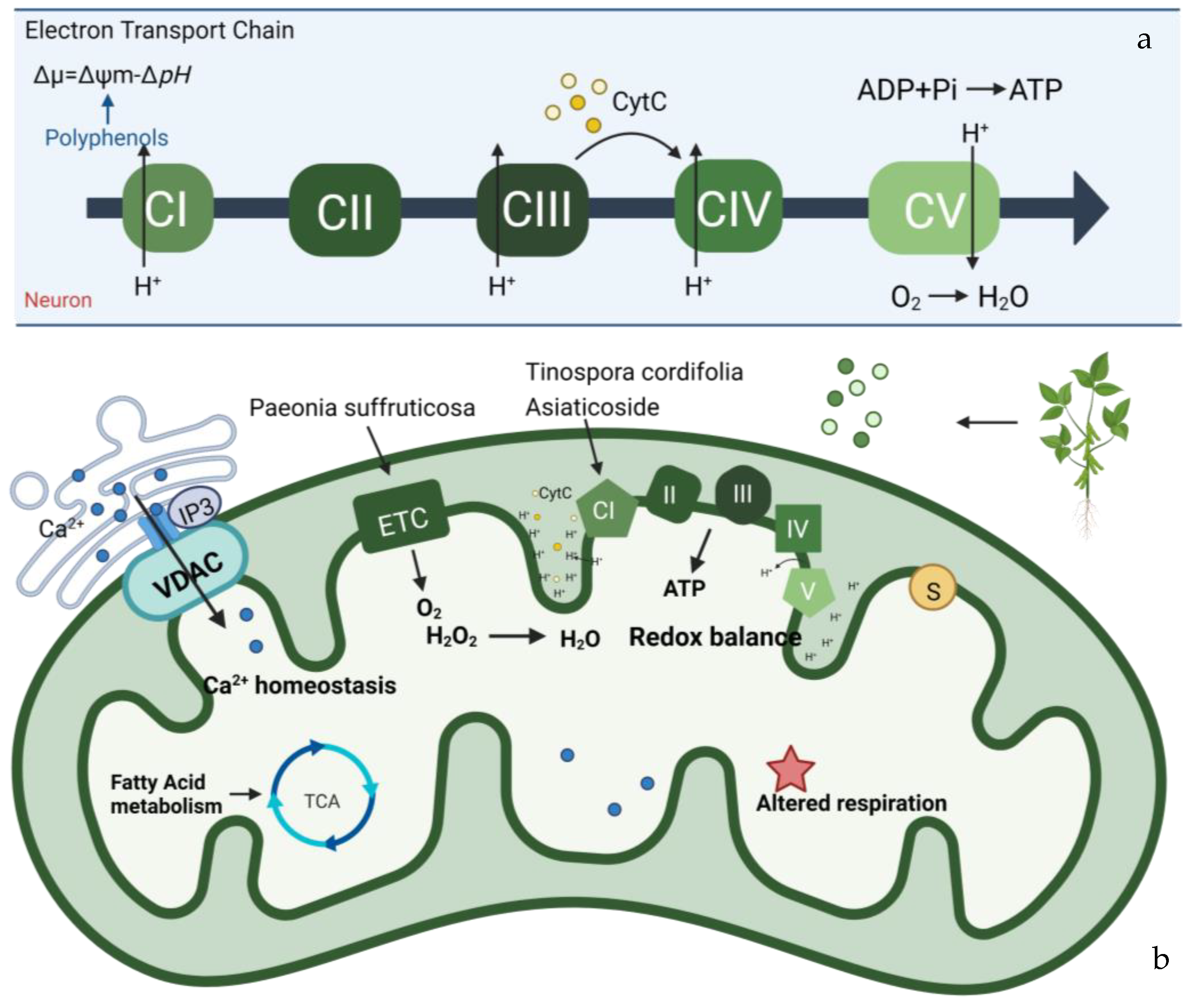 Pharmaceuticals 16 00277 g003