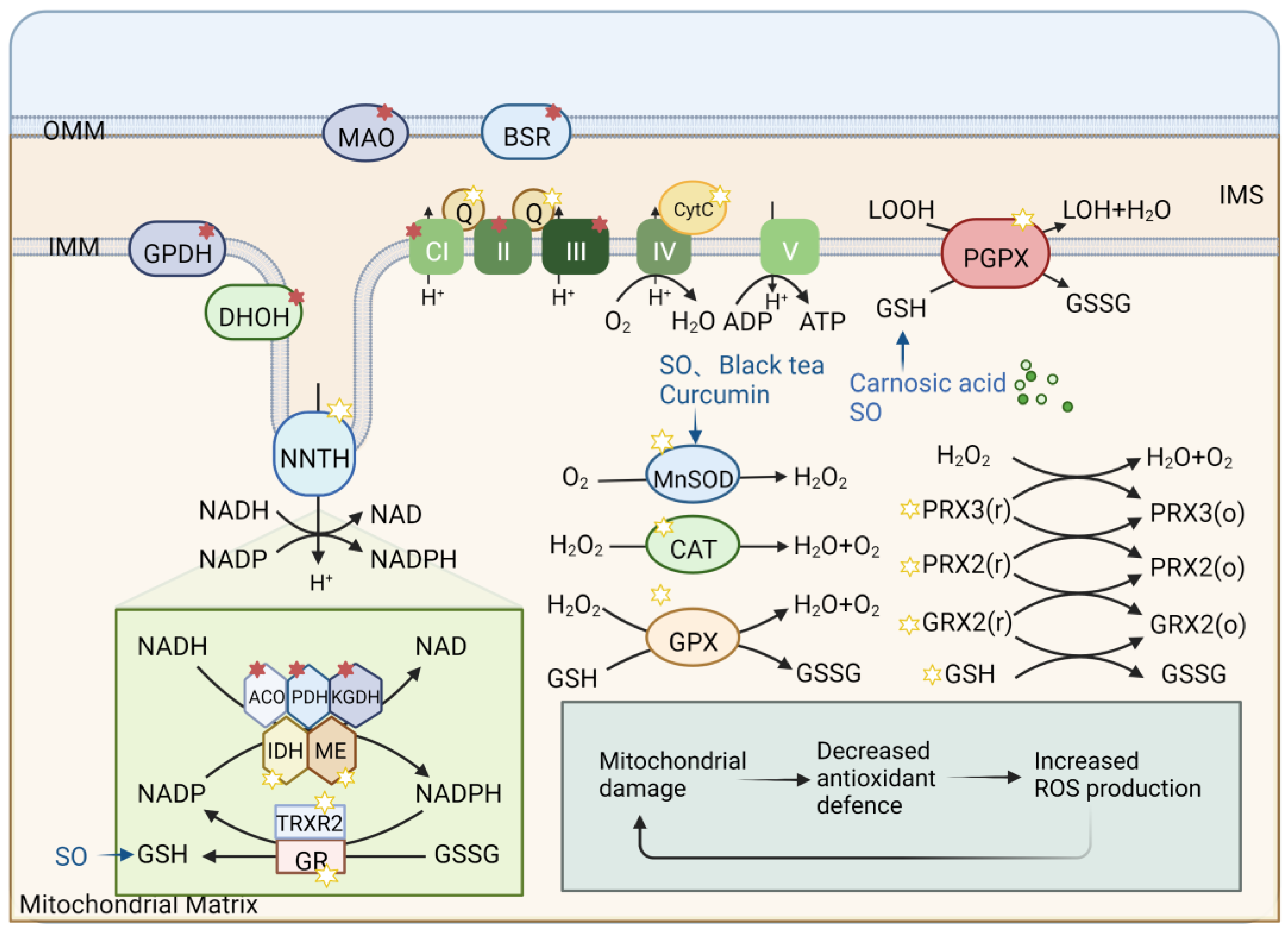 Pharmaceuticals 16 00277 g004
