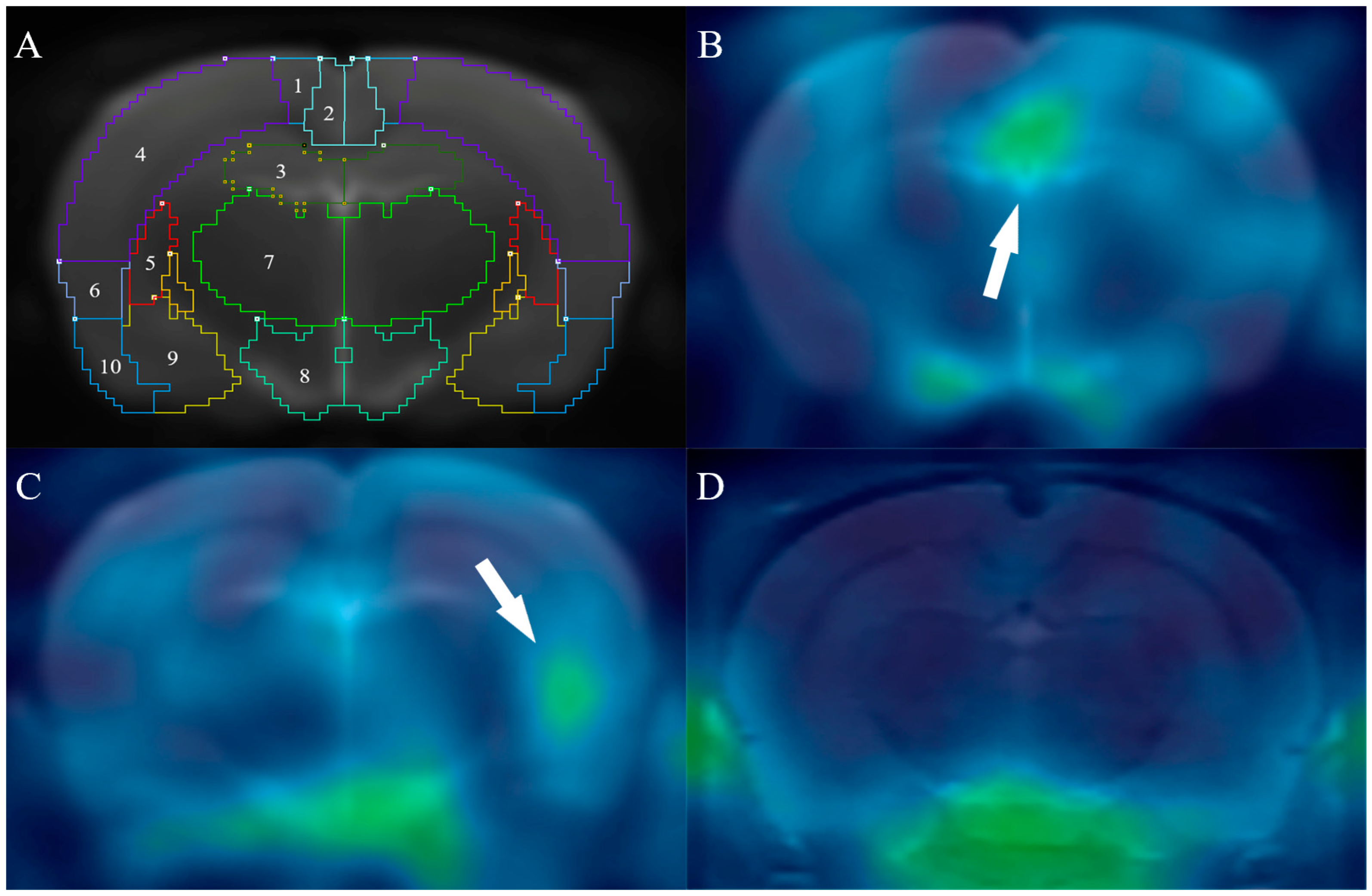 Pharmaceuticals 16 00279 g004