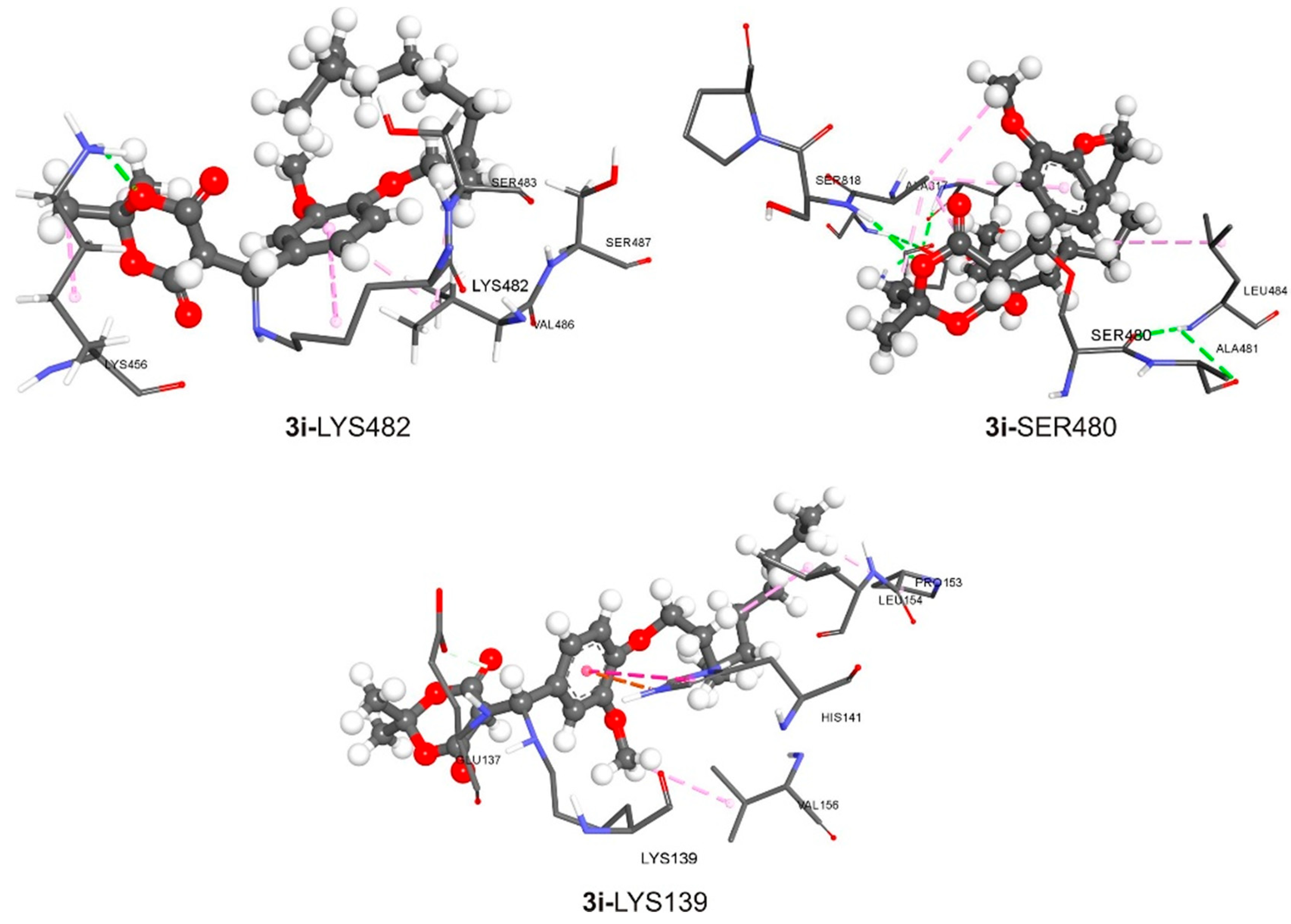 Pharmaceuticals 16 00281 g005 Pharmaceuticals 16 00281 g005