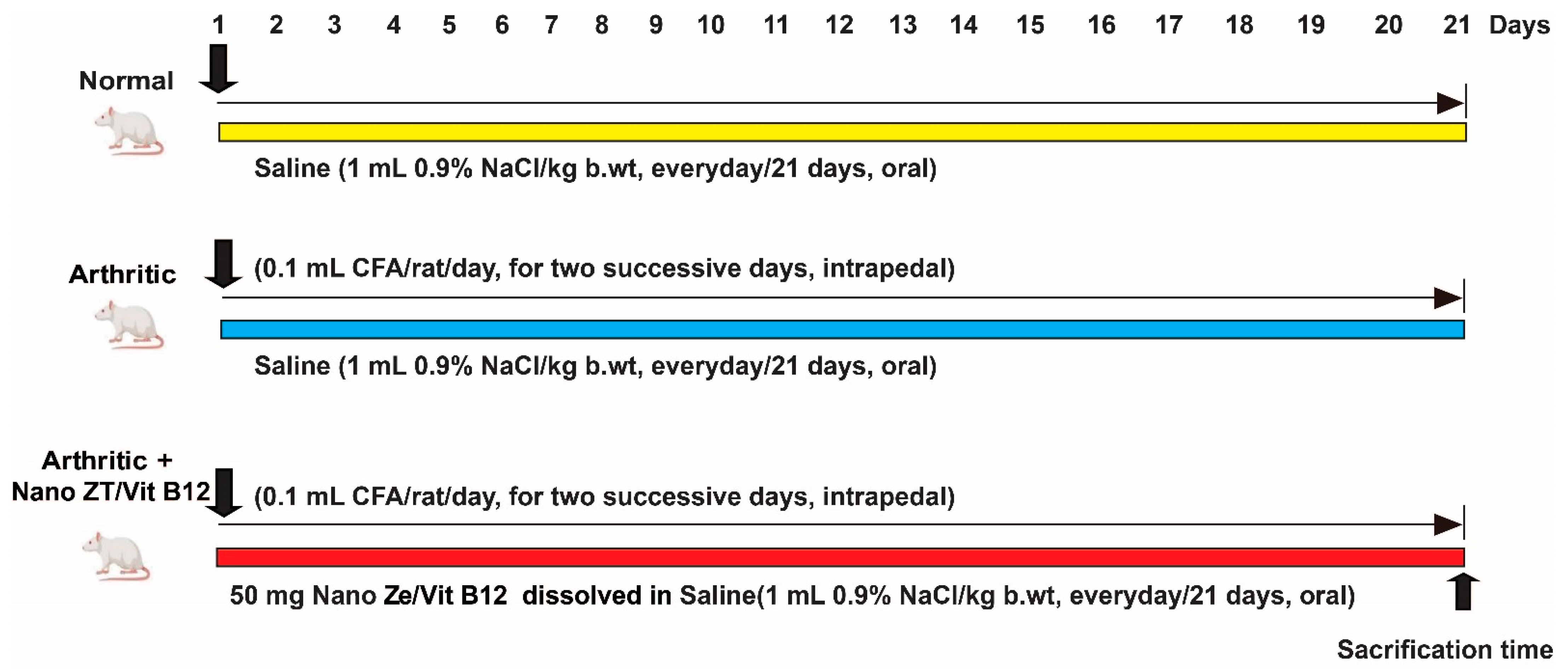 Pharmaceuticals 16 00285 g002