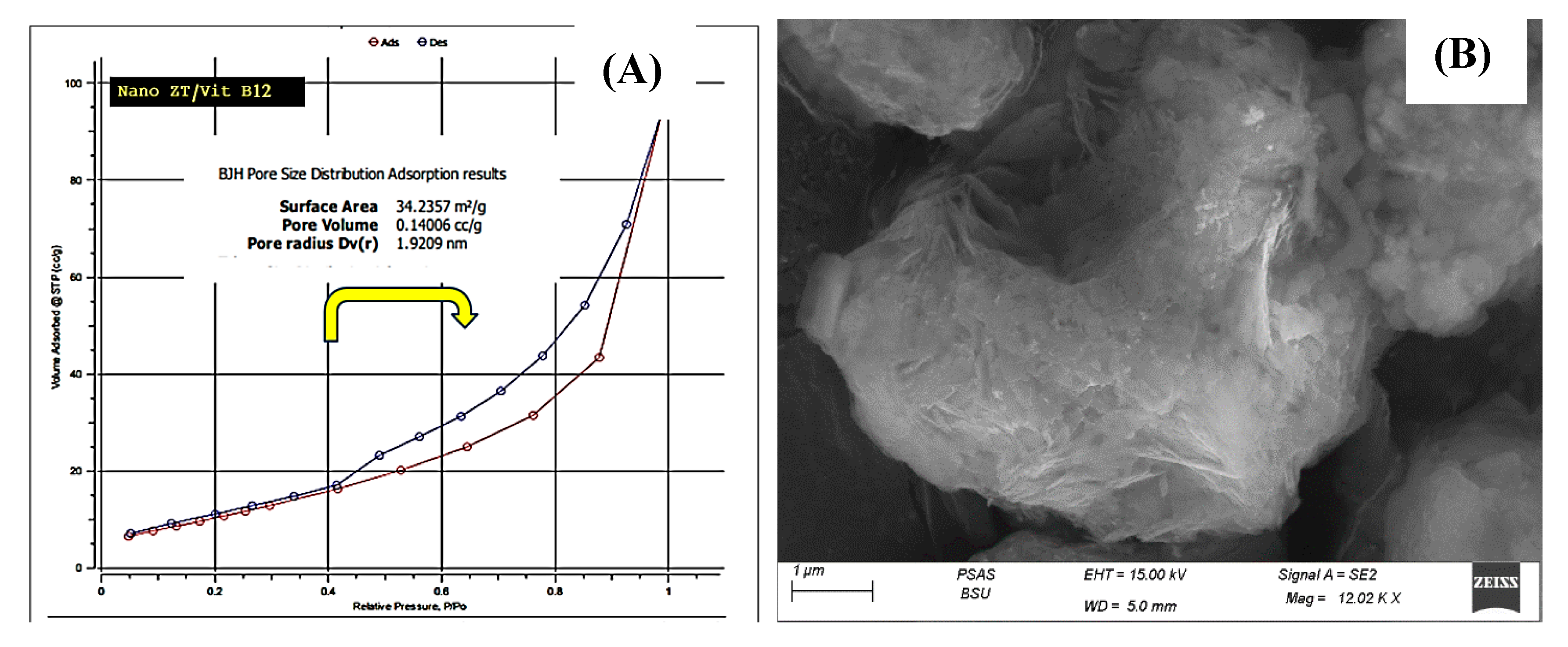 Pharmaceuticals 16 00285 g005