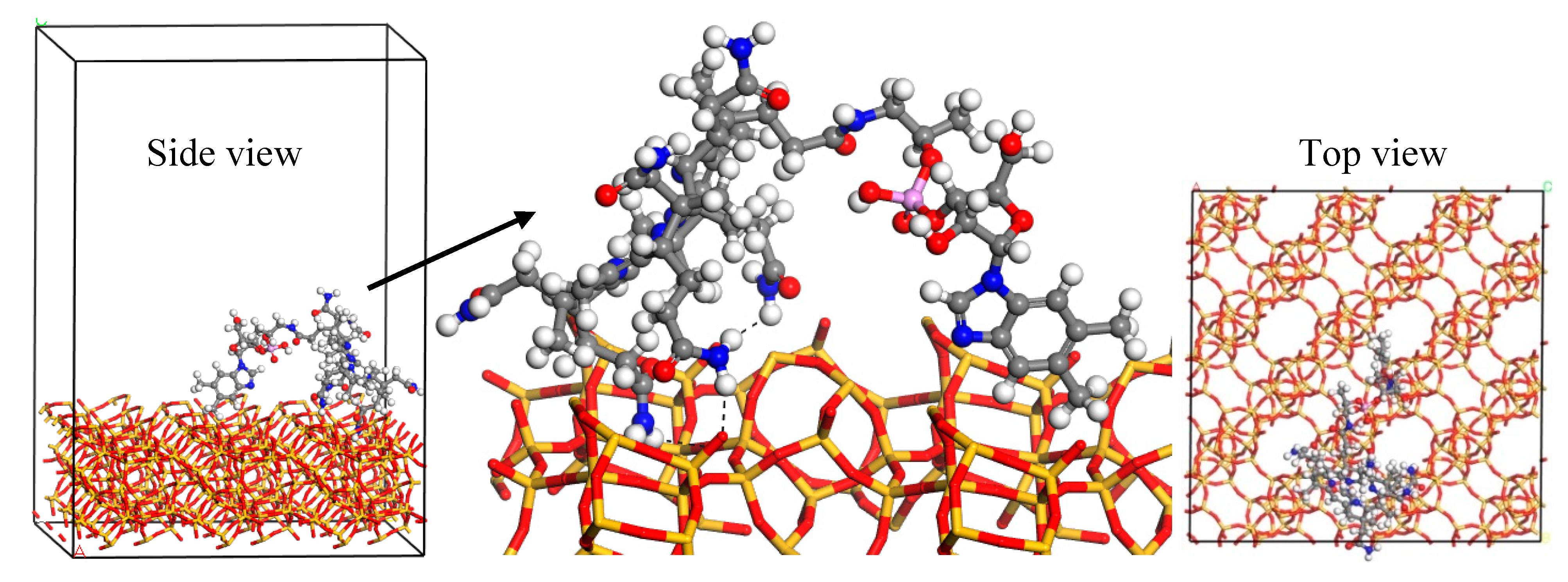 Pharmaceuticals 16 00285 g006
