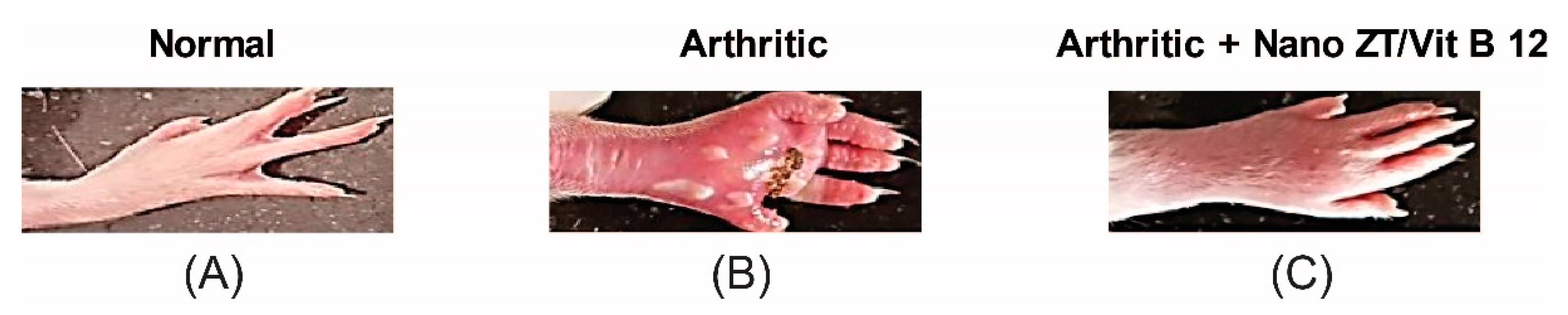 Pharmaceuticals 16 00285 g007