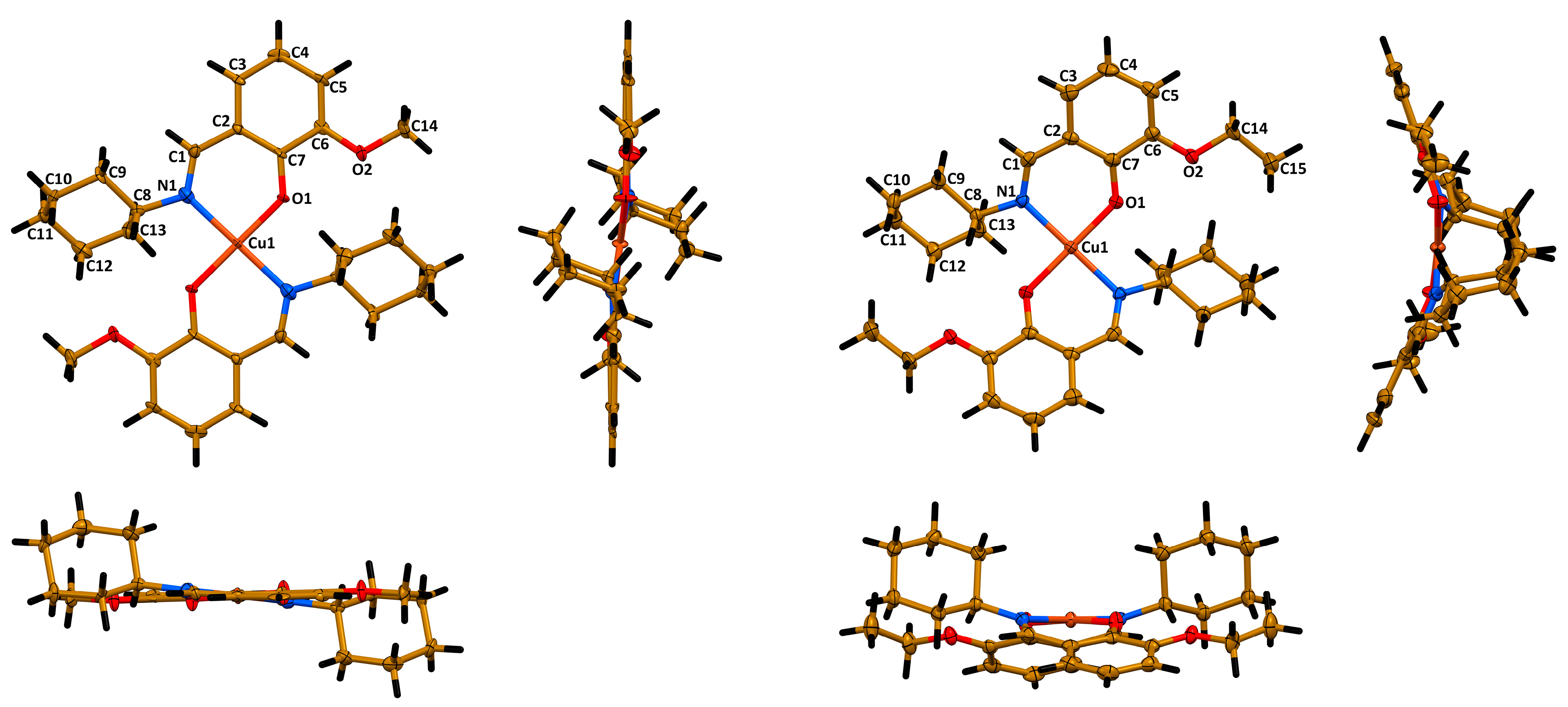 Pharmaceuticals 16 00286 g003 Pharmaceuticals 16 00286 g003