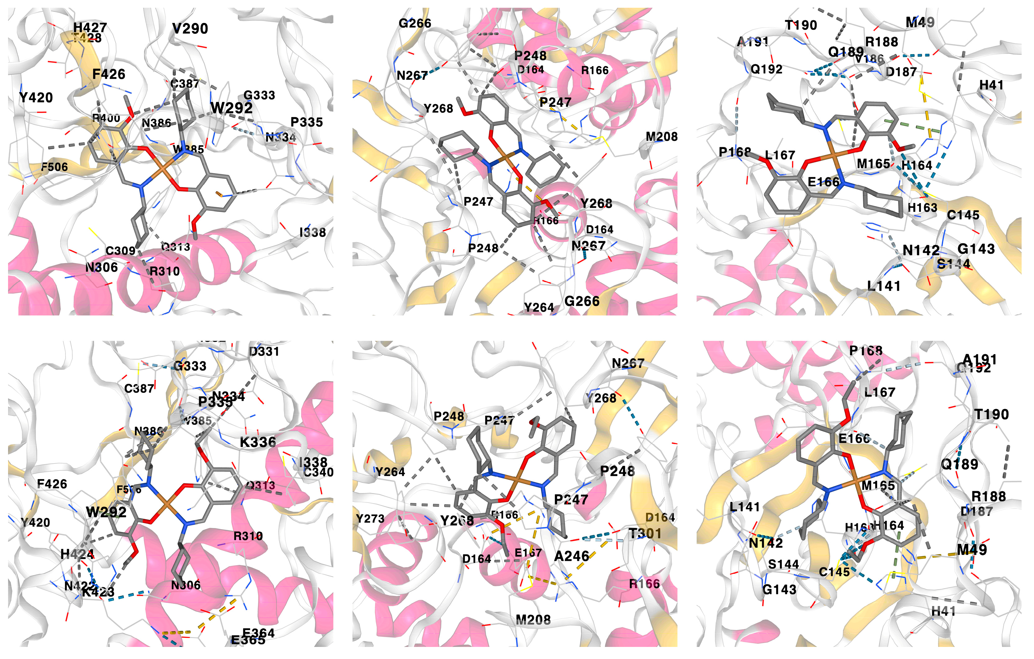 Pharmaceuticals 16 00286 g007 Pharmaceuticals 16 00286 g007