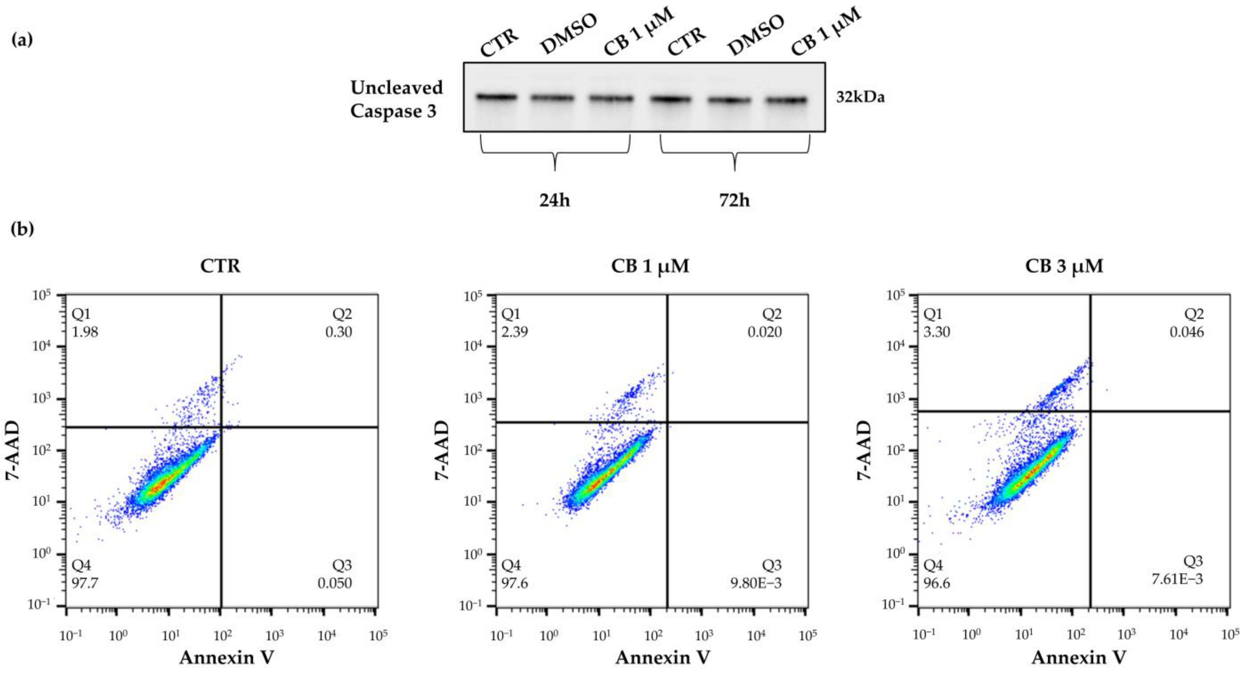 Pharmaceuticals 16 00289 g004