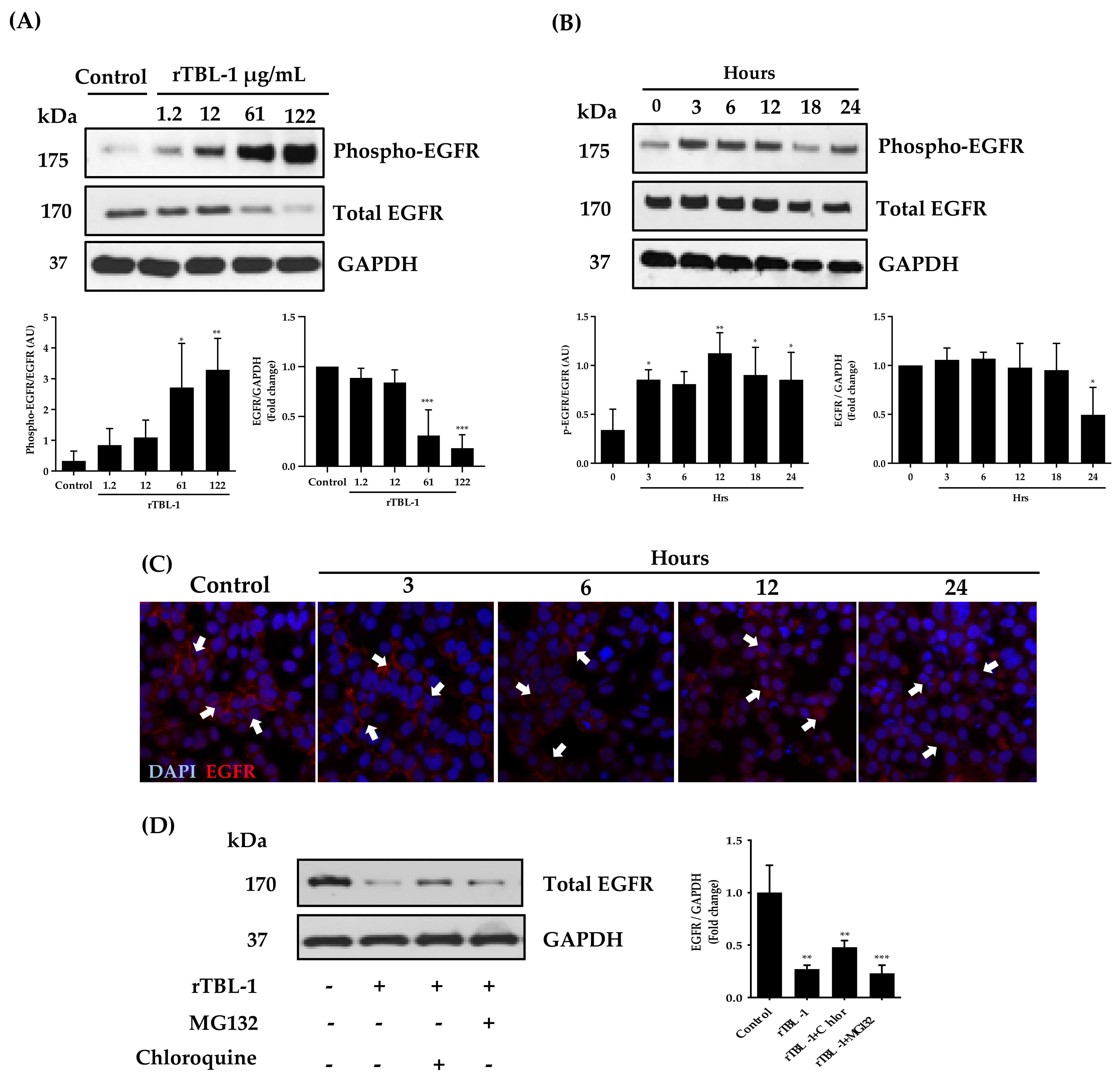 Pharmaceuticals 16 00290 g005