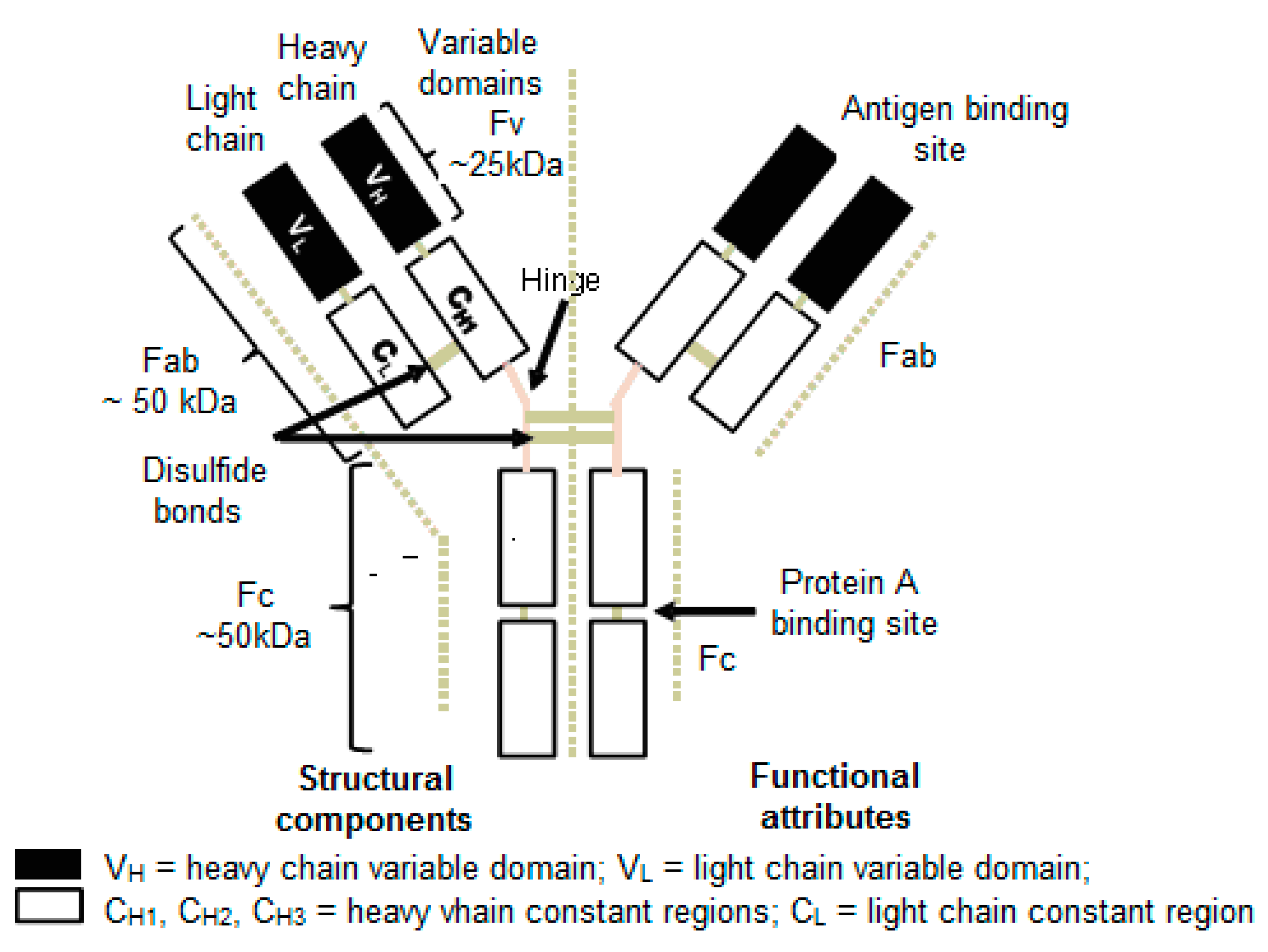 Pharmaceuticals 16 00291 g001