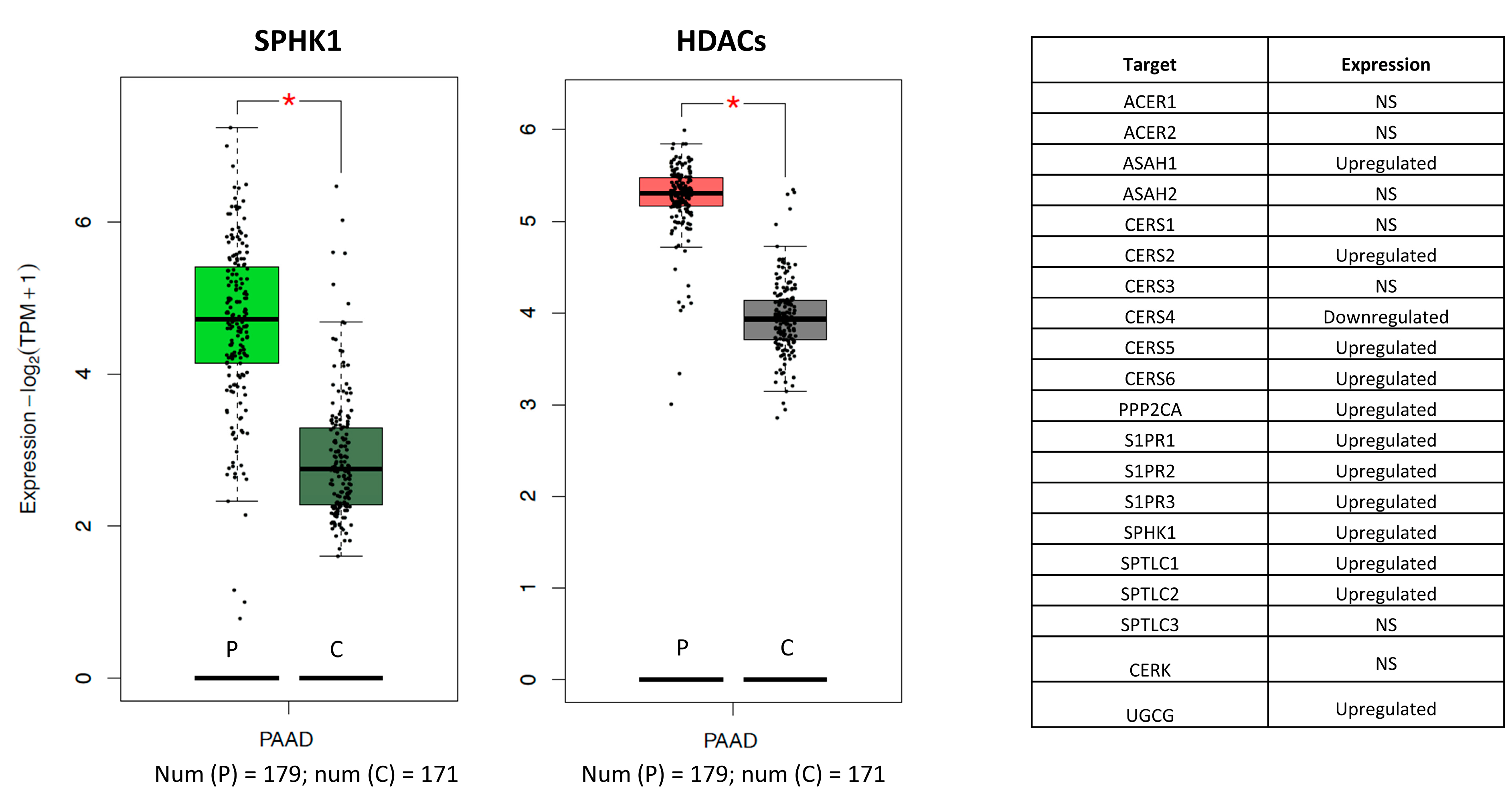 Pharmaceuticals 16 00294 g002 Pharmaceuticals 16 00294 g002