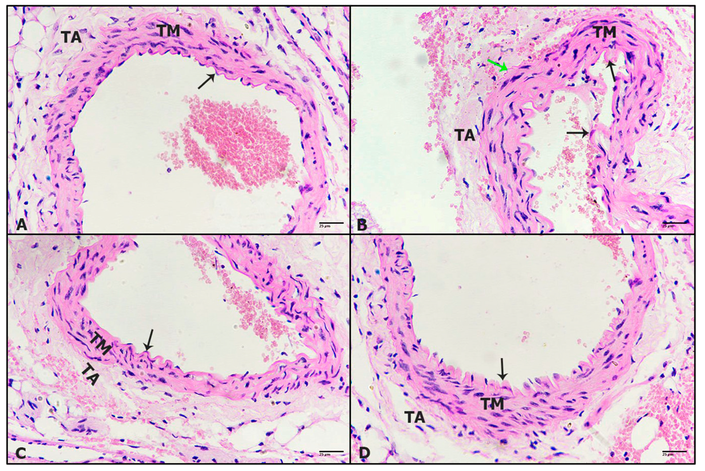 Pharmaceuticals 16 00295 g003