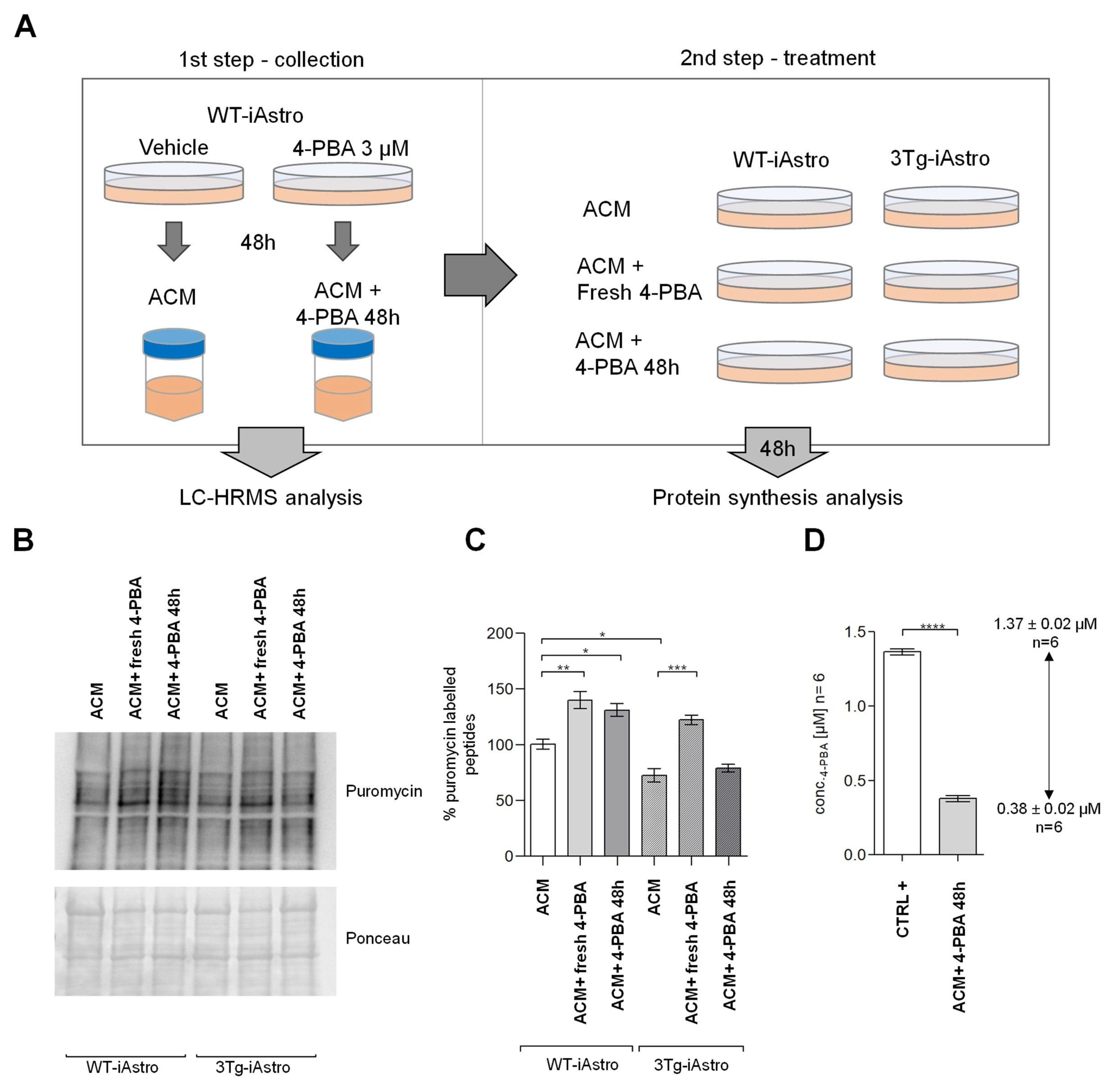 Pharmaceuticals 16 00298 g002 550
