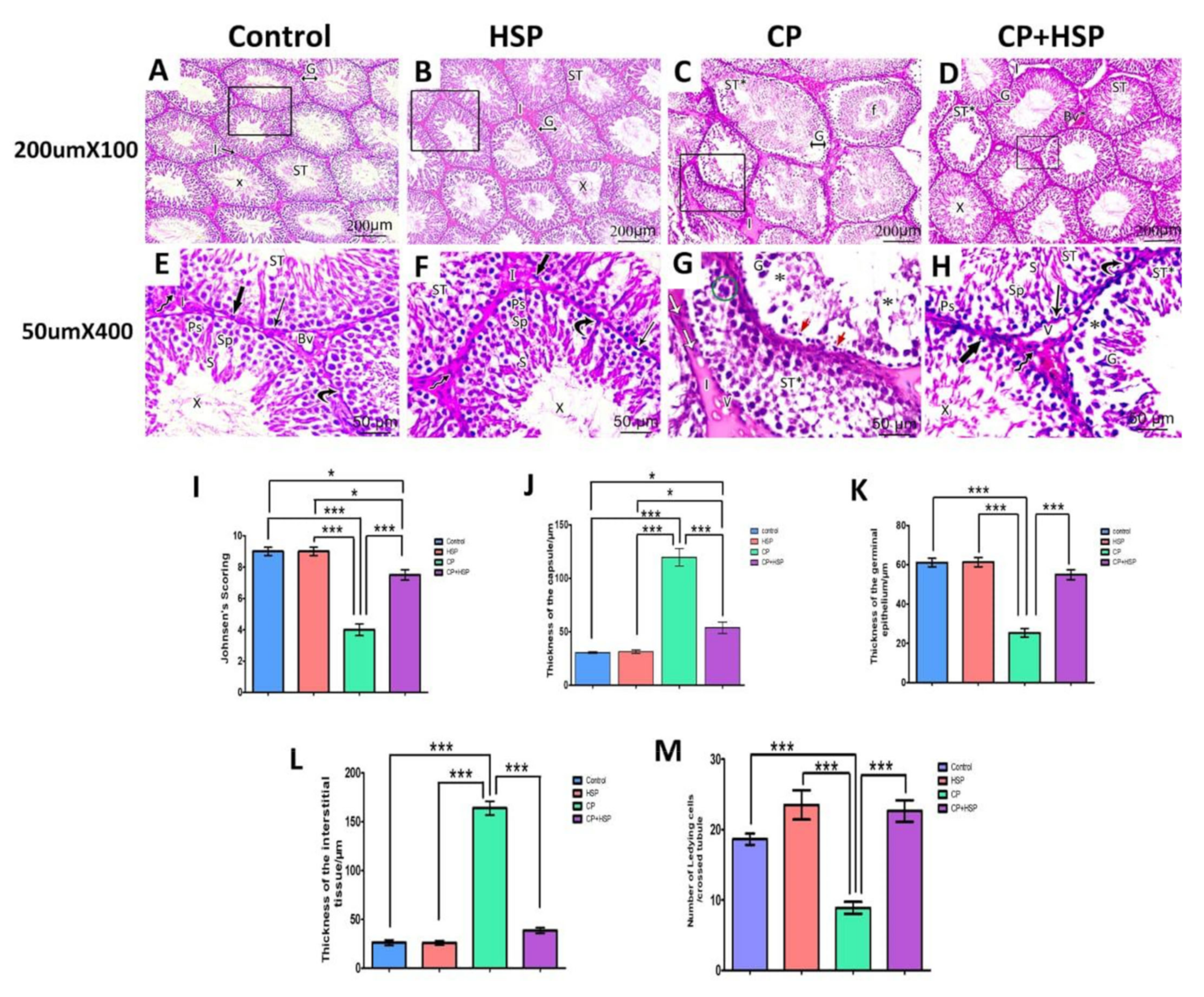Pharmaceuticals 16 00301 g003