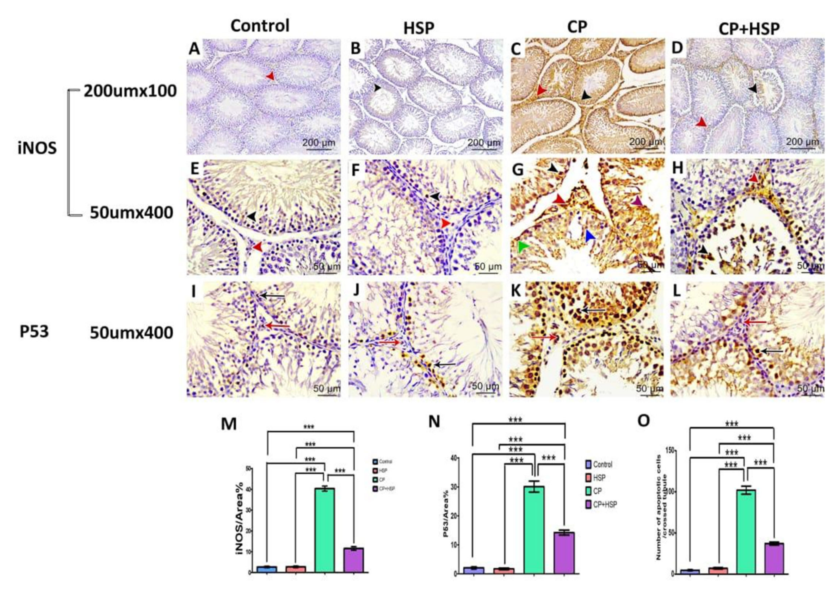 Pharmaceuticals 16 00301 g004