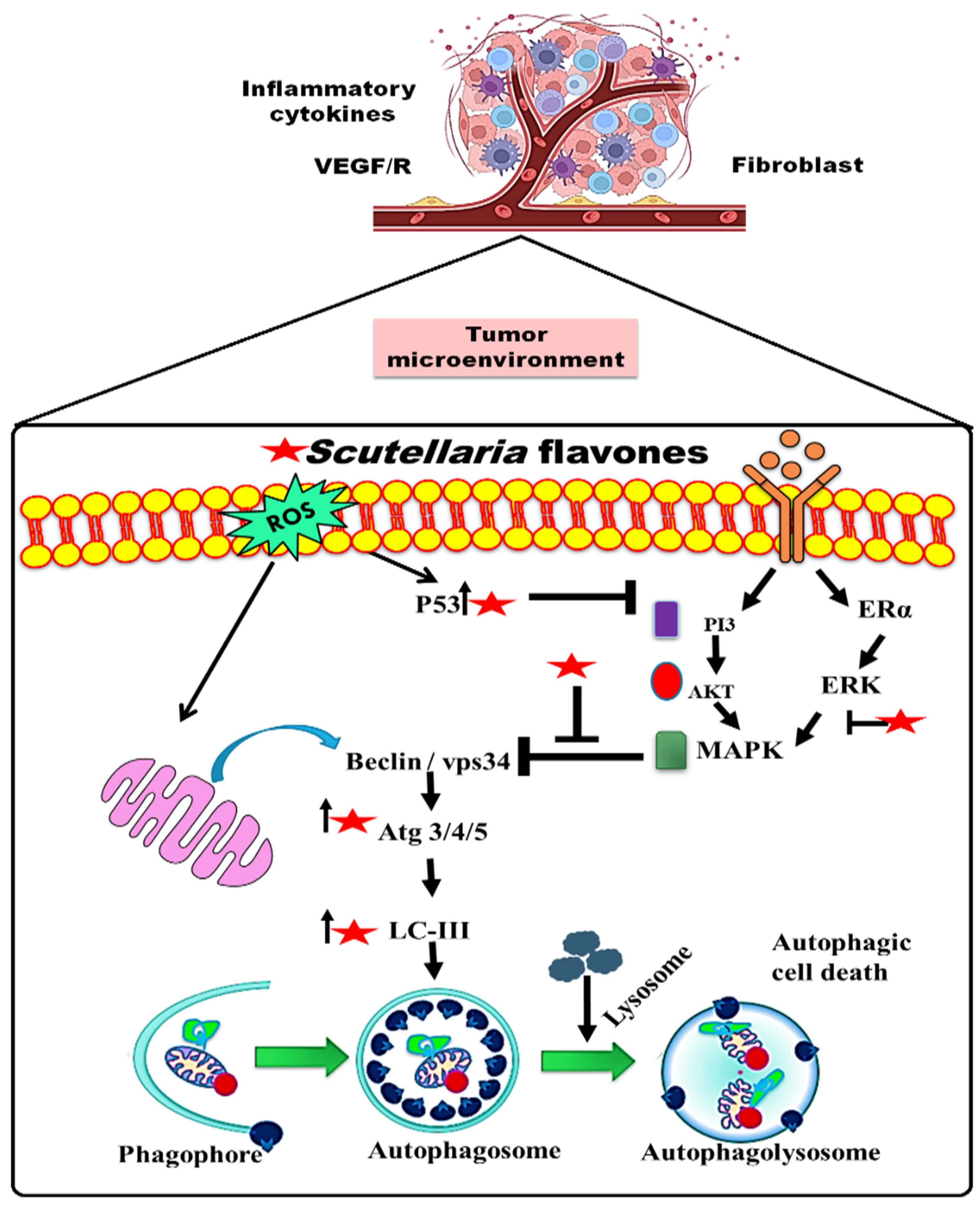 Pharmaceuticals 16 00302 g002