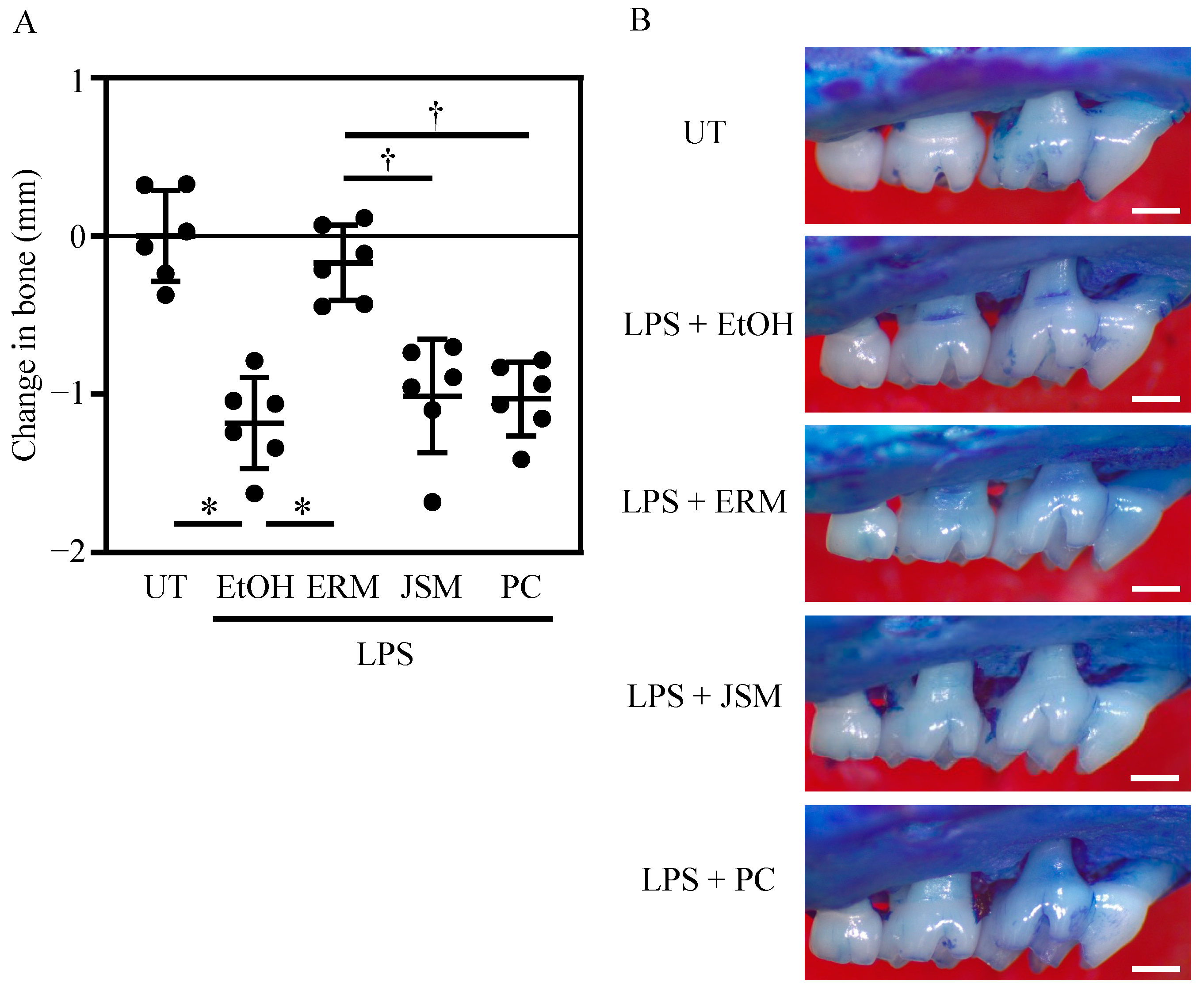 Pharmaceuticals 16 00303 g003 Pharmaceuticals 16 00303 g003