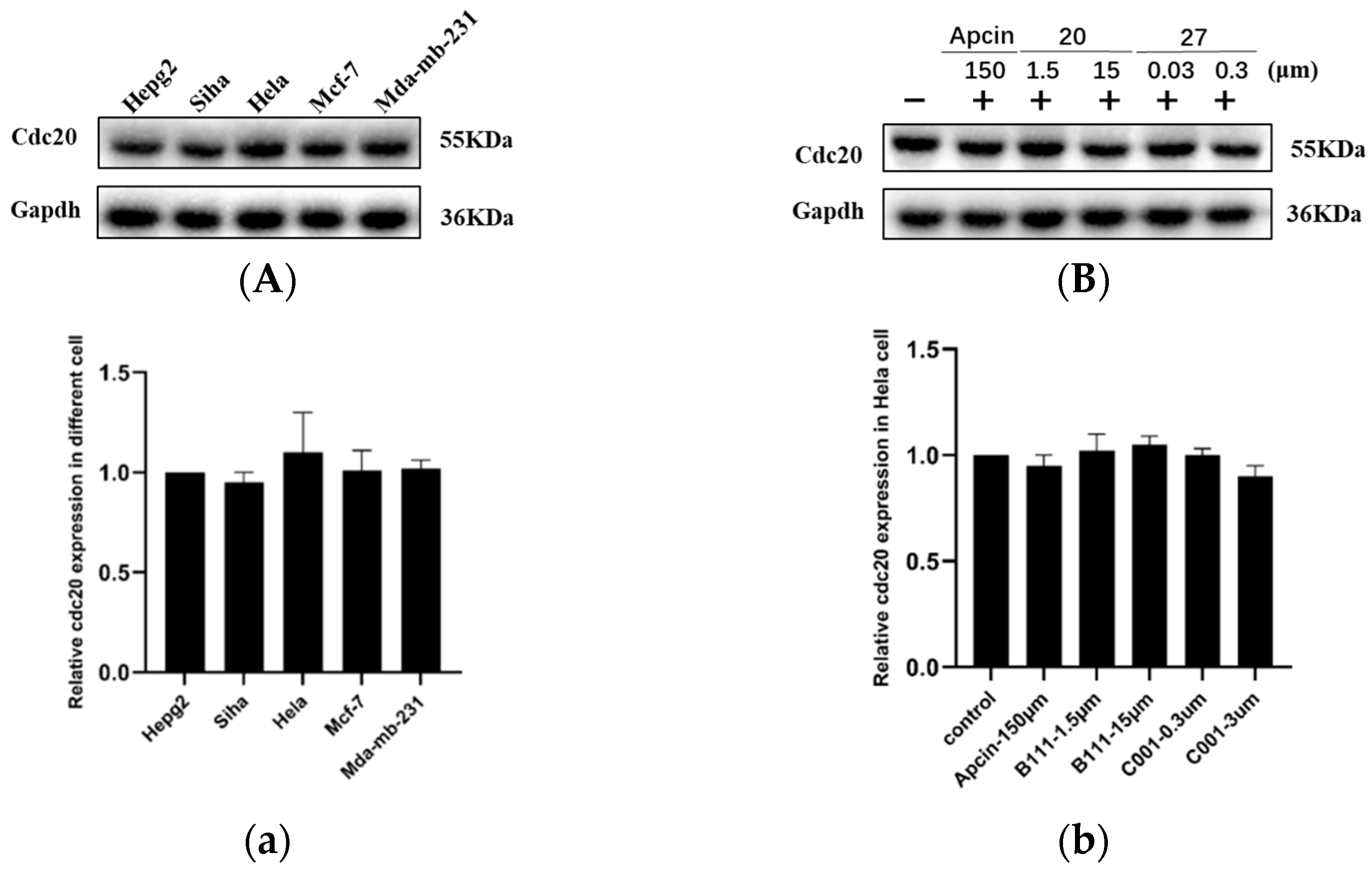 Pharmaceuticals 16 00304 g001