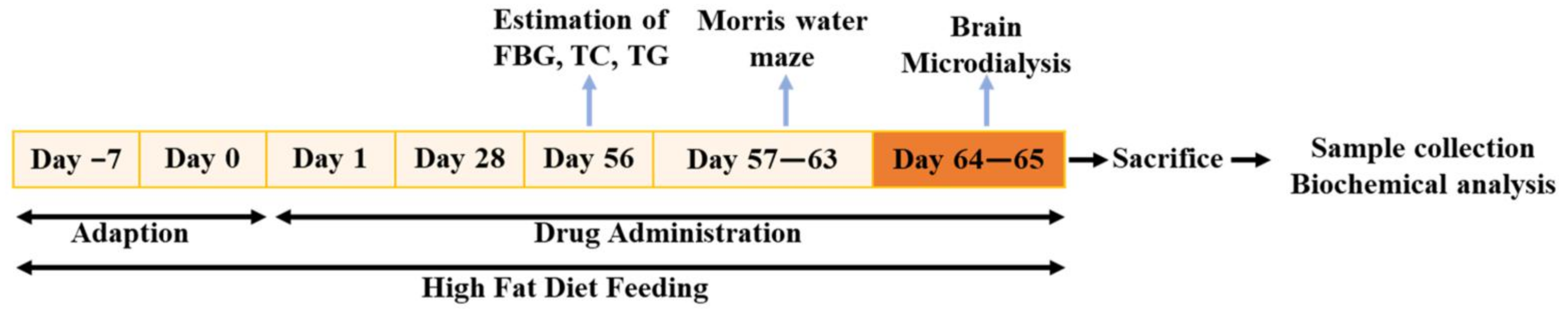 Pharmaceuticals 16 00305 g001 Pharmaceuticals 16 00305 g001