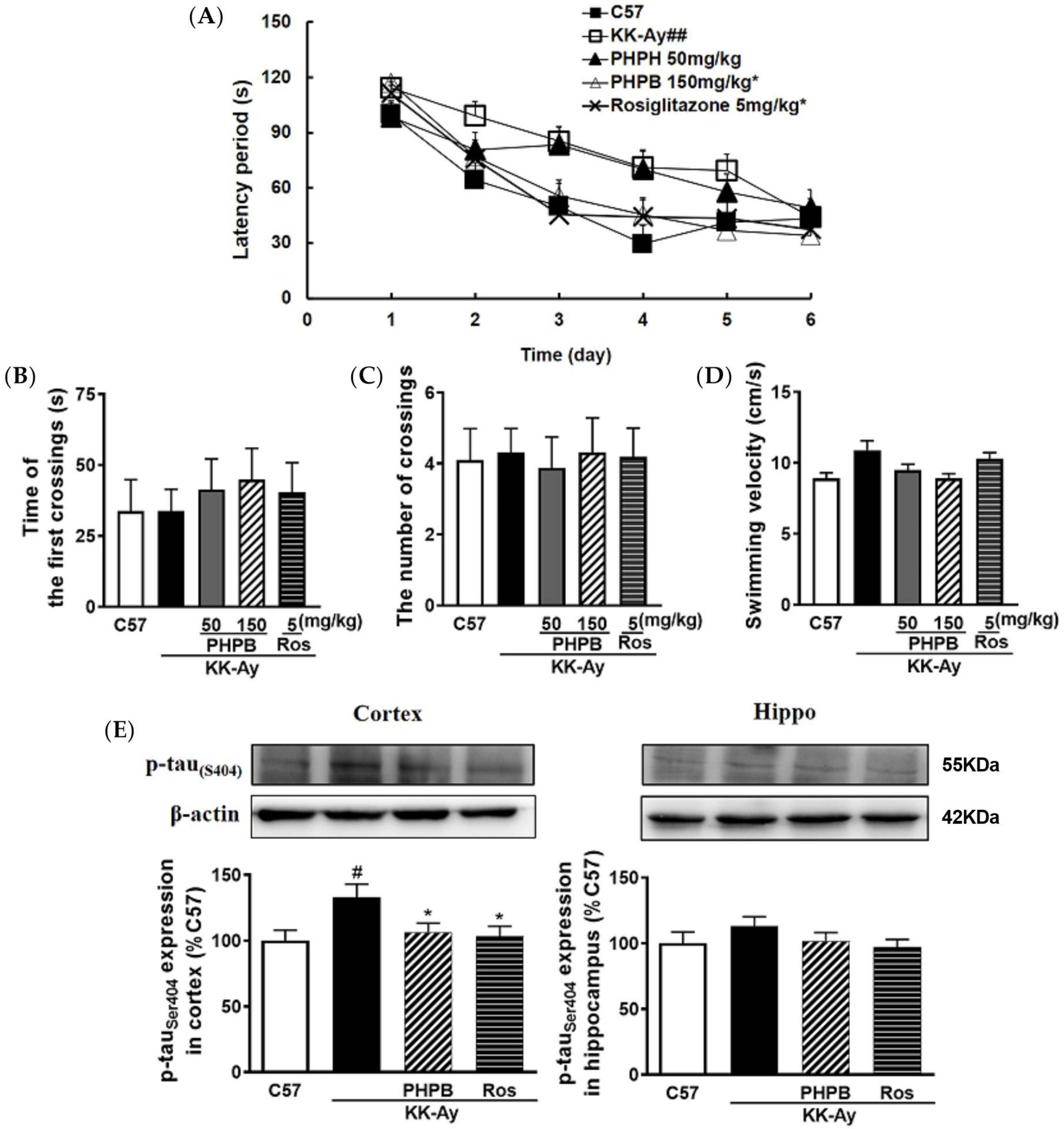 Pharmaceuticals 16 00305 g003 Pharmaceuticals 16 00305 g003